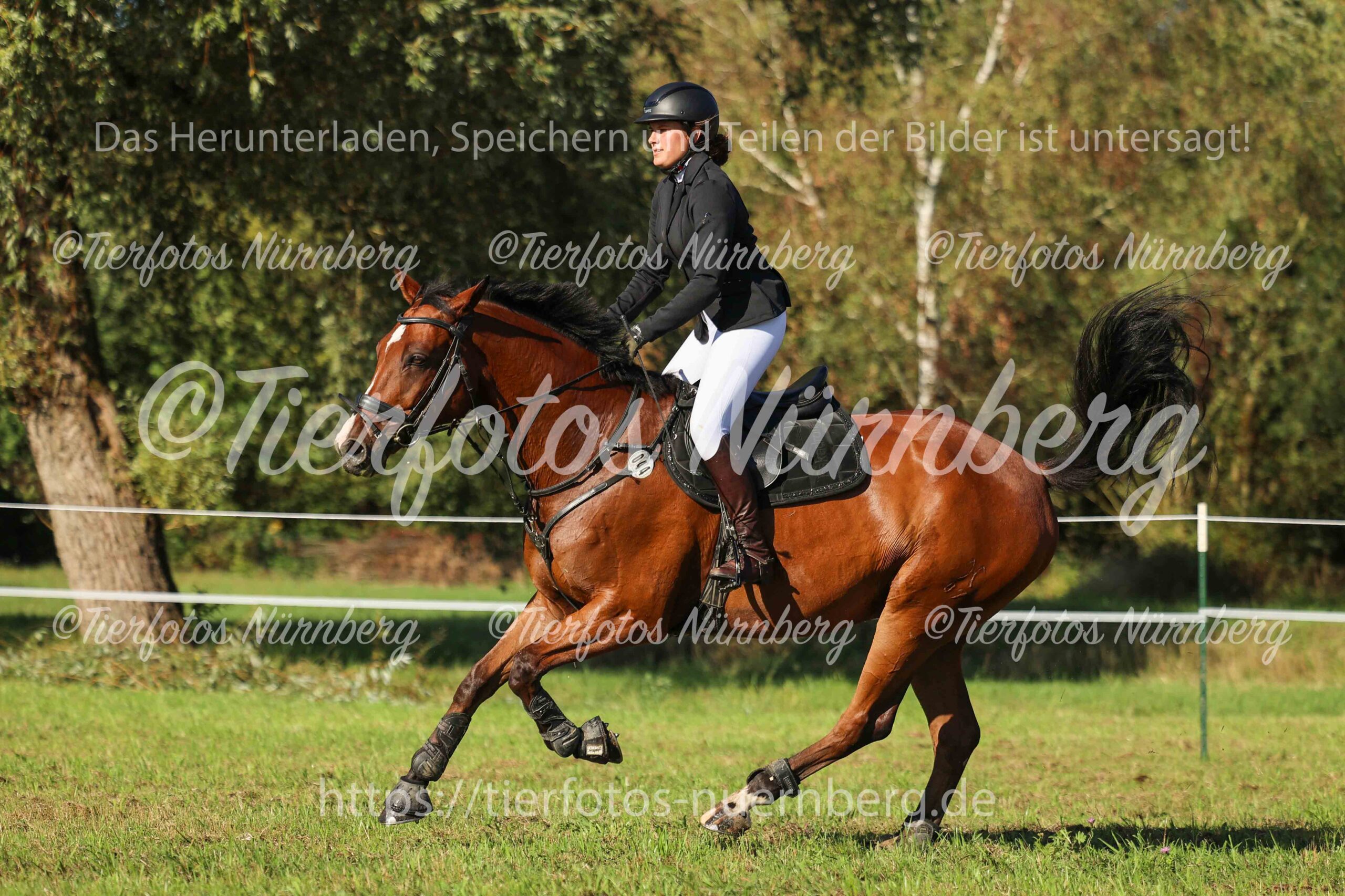 Turnierfoto