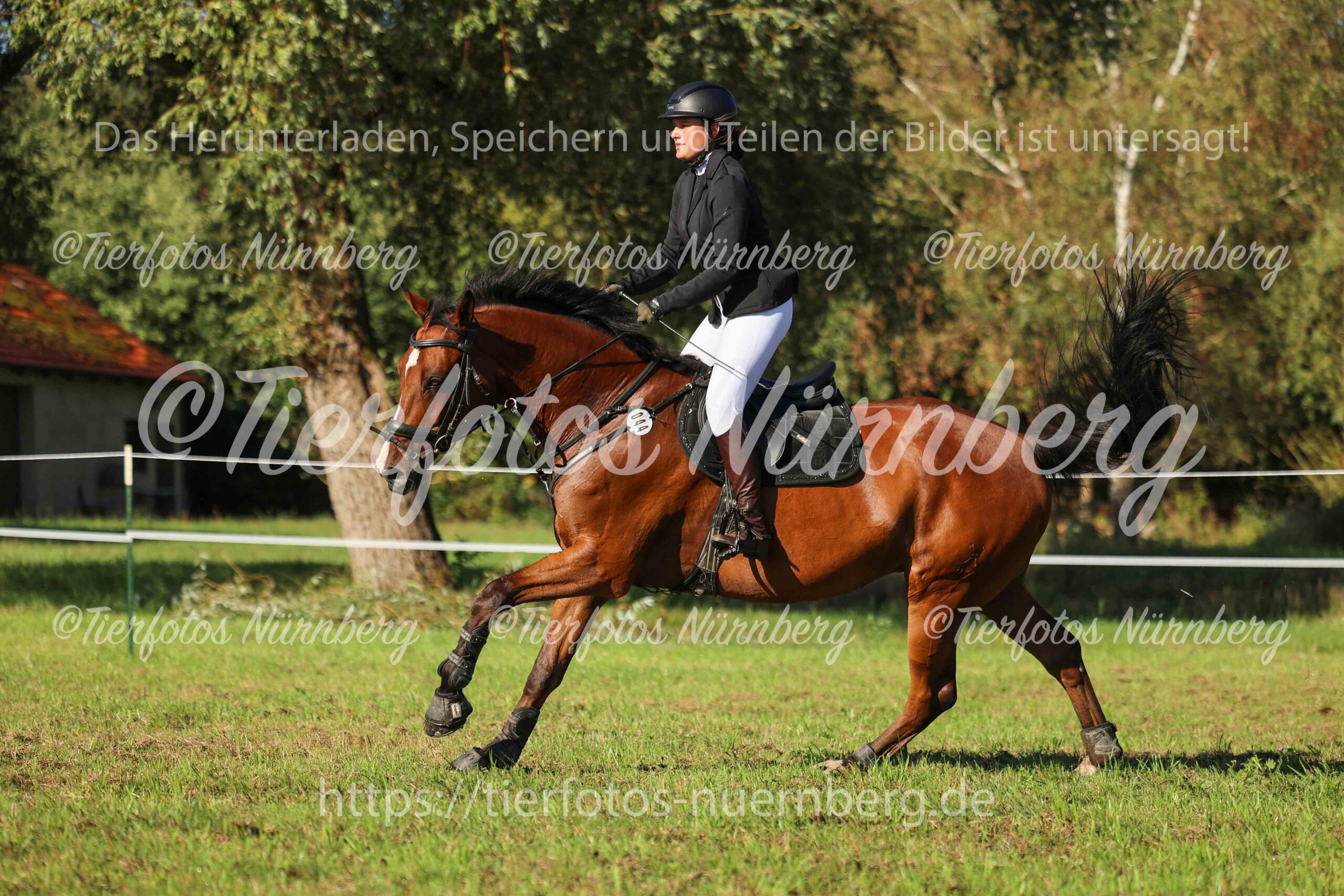 Turnierfoto