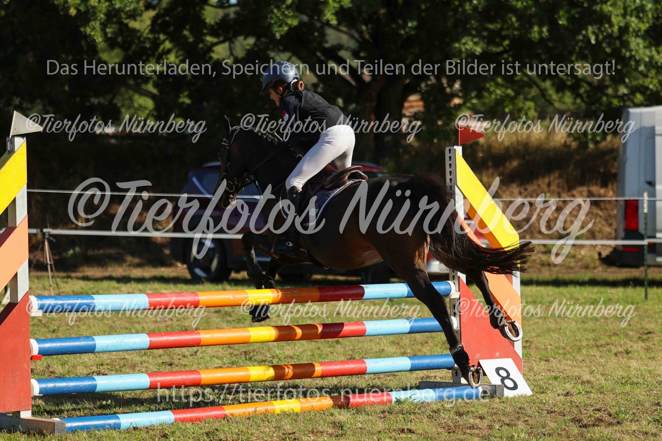 Turnierfoto