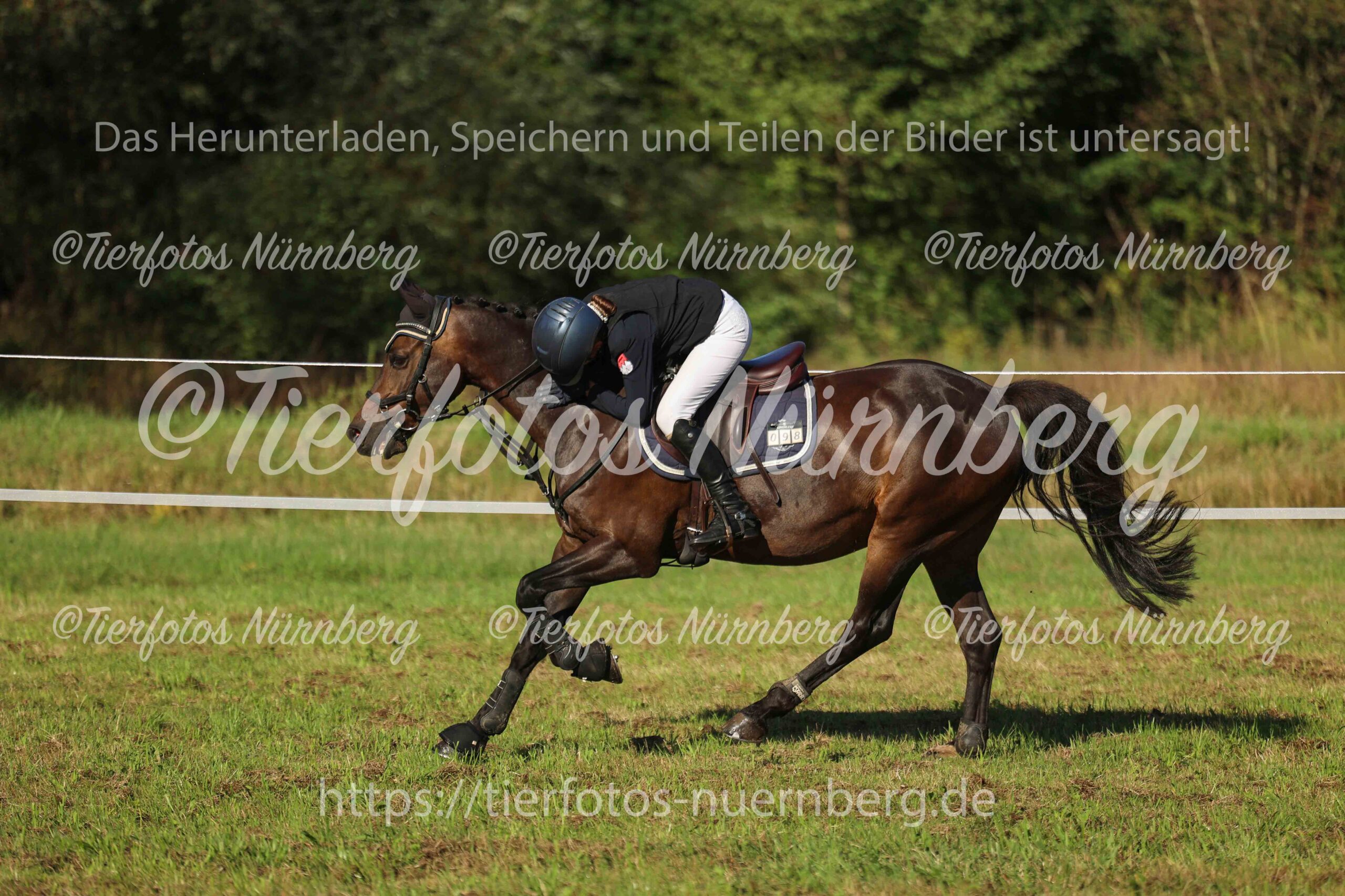 Turnierfoto
