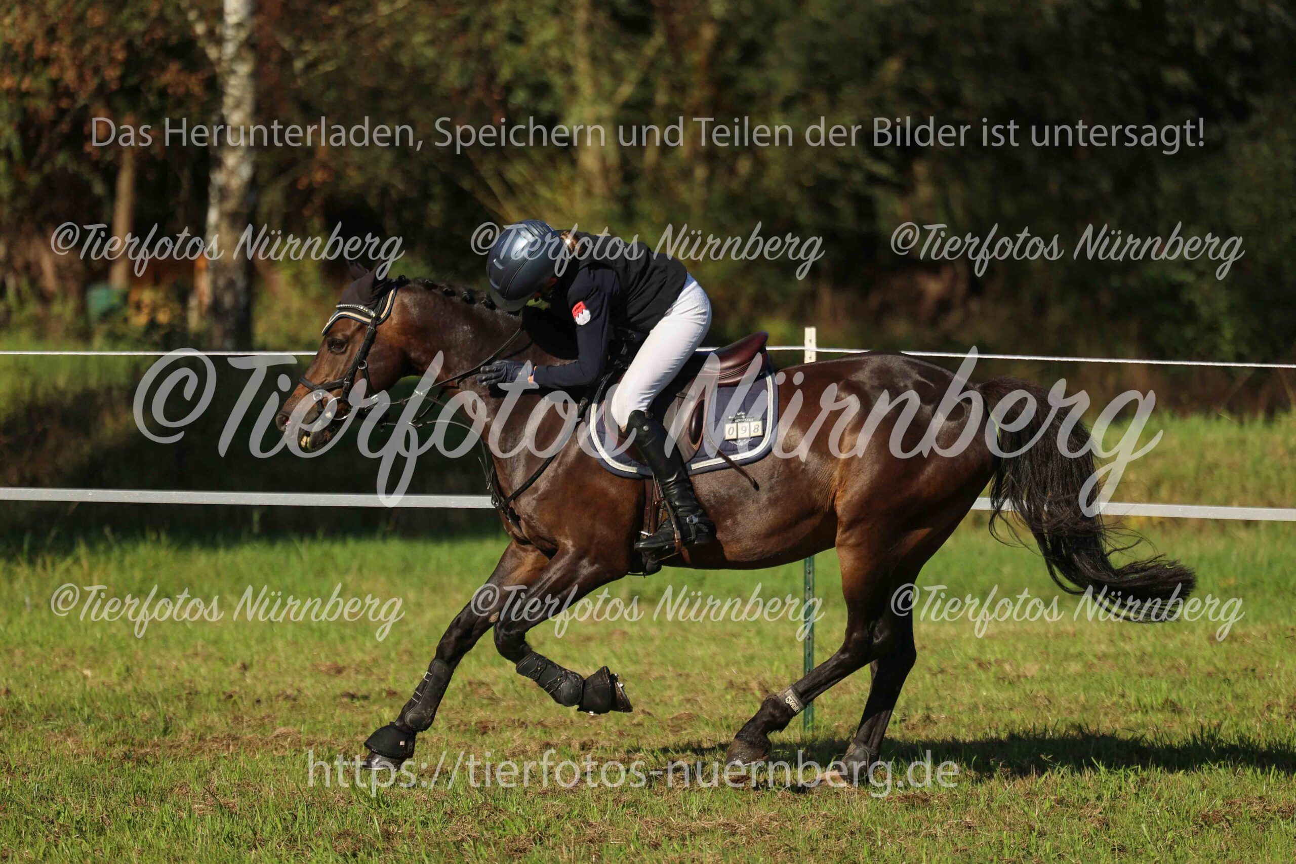Turnierfoto