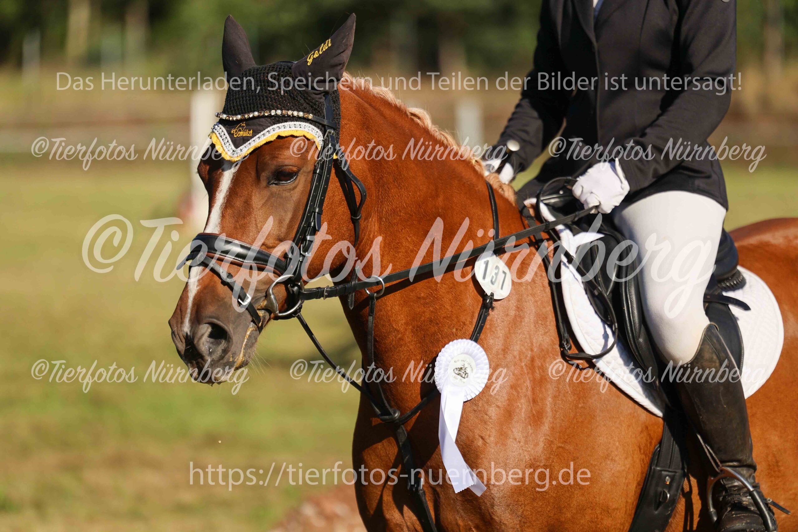 Turnierfoto