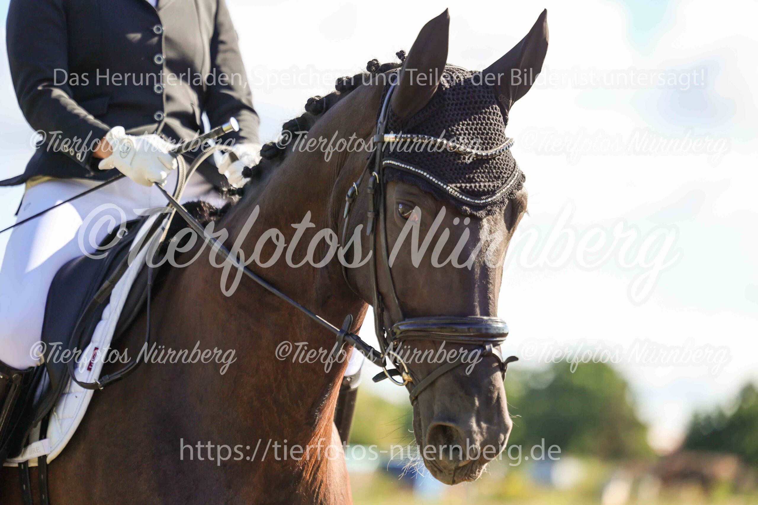 Turnierfoto