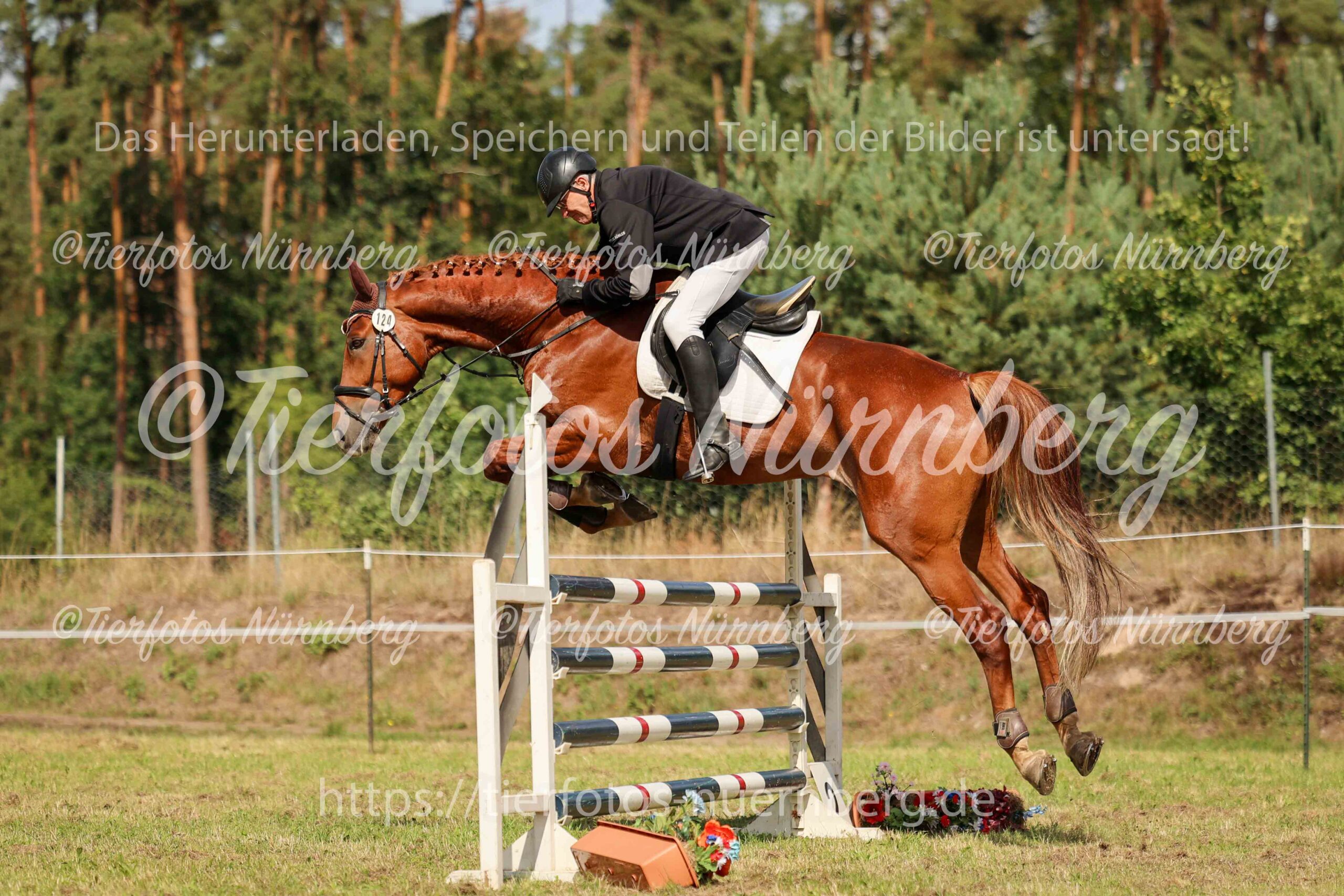 Turnierfoto