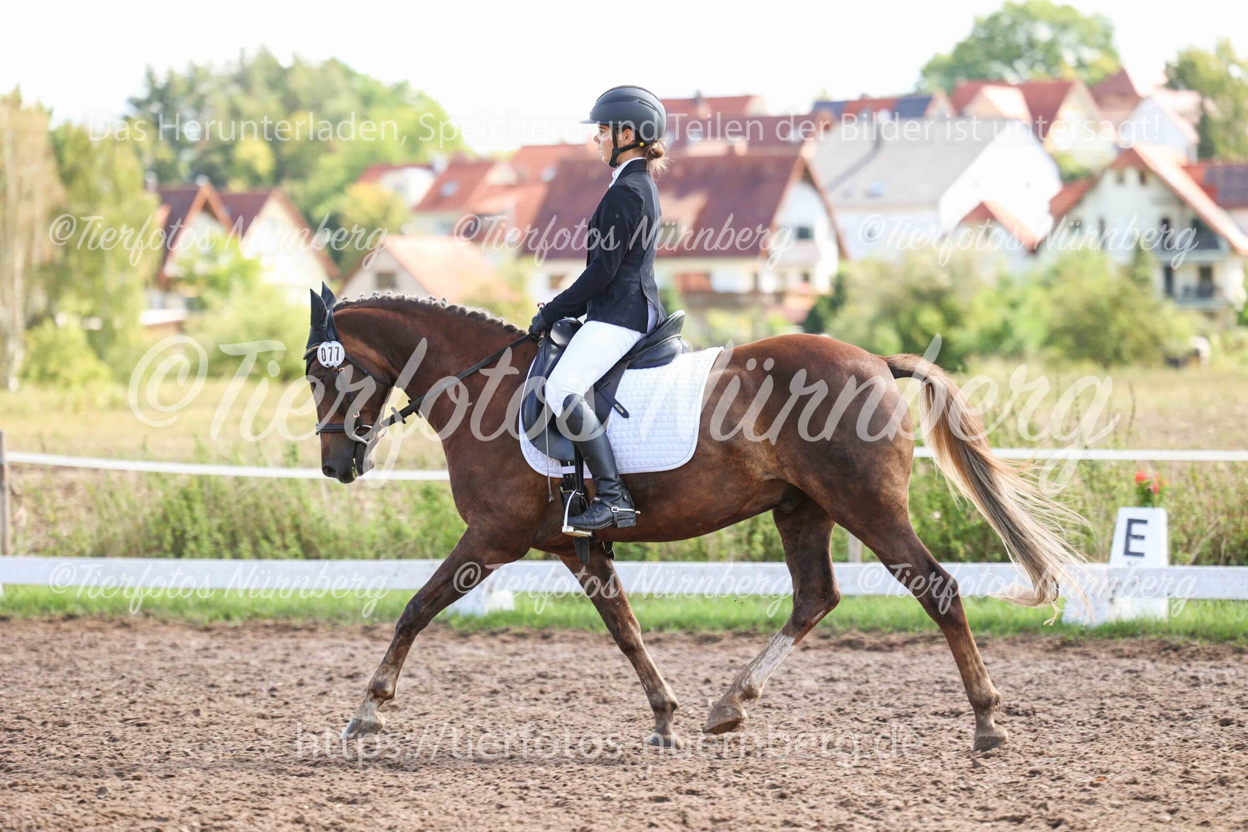 Turnierfoto