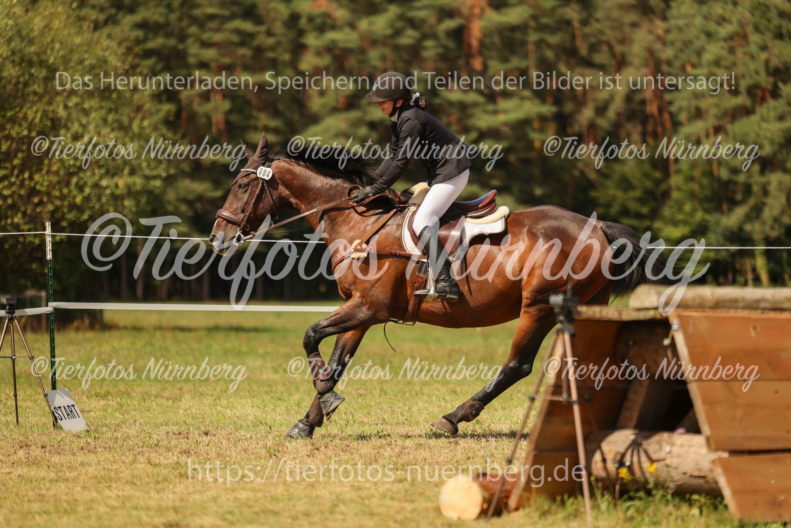 Turnierfoto