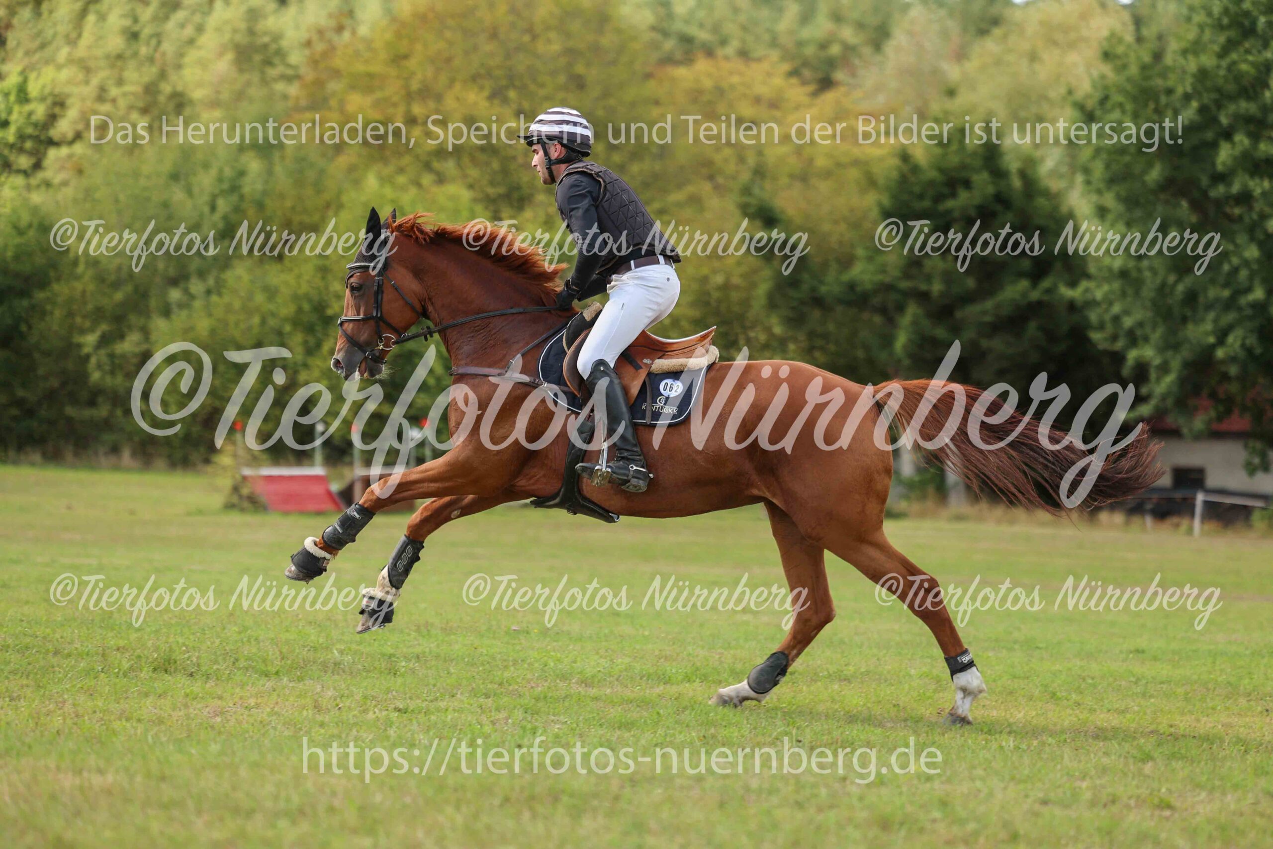 Turnierfoto