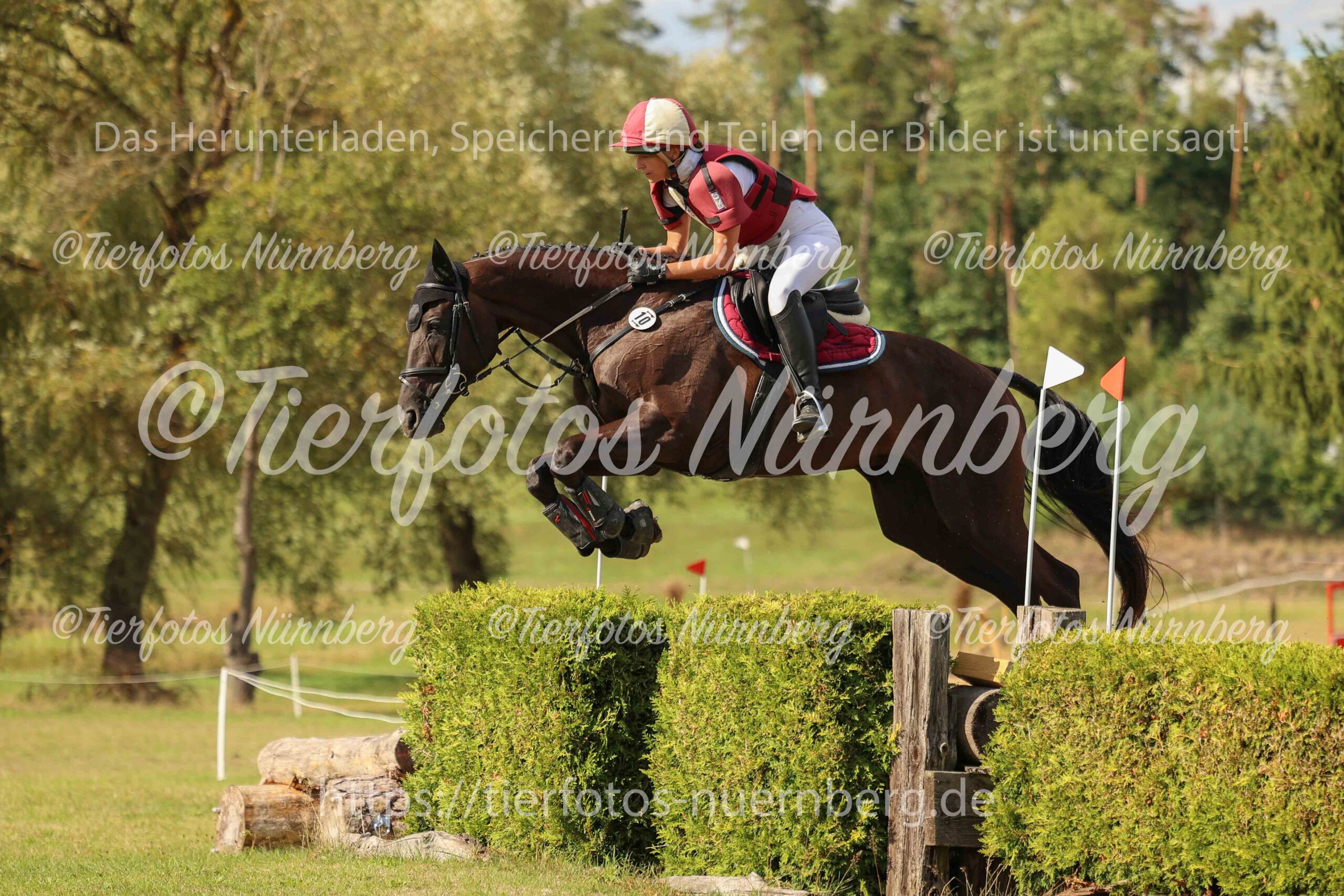 Turnierfoto