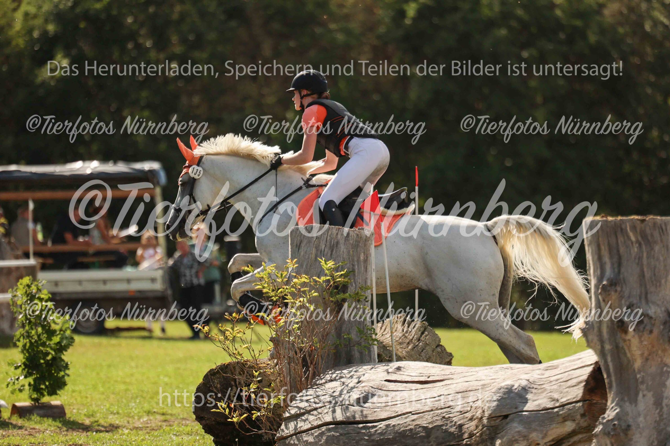 Turnierfoto