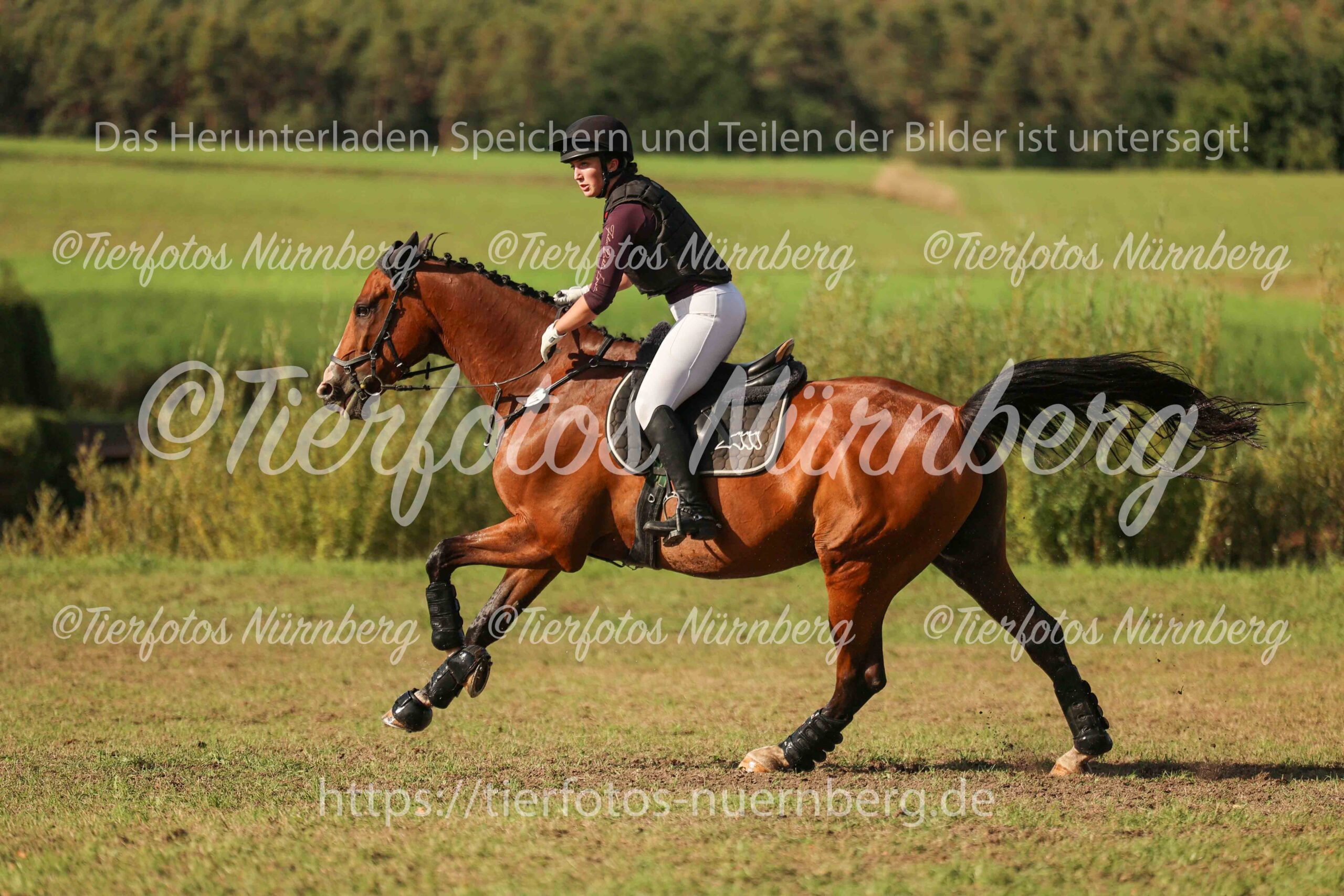 Turnierfoto
