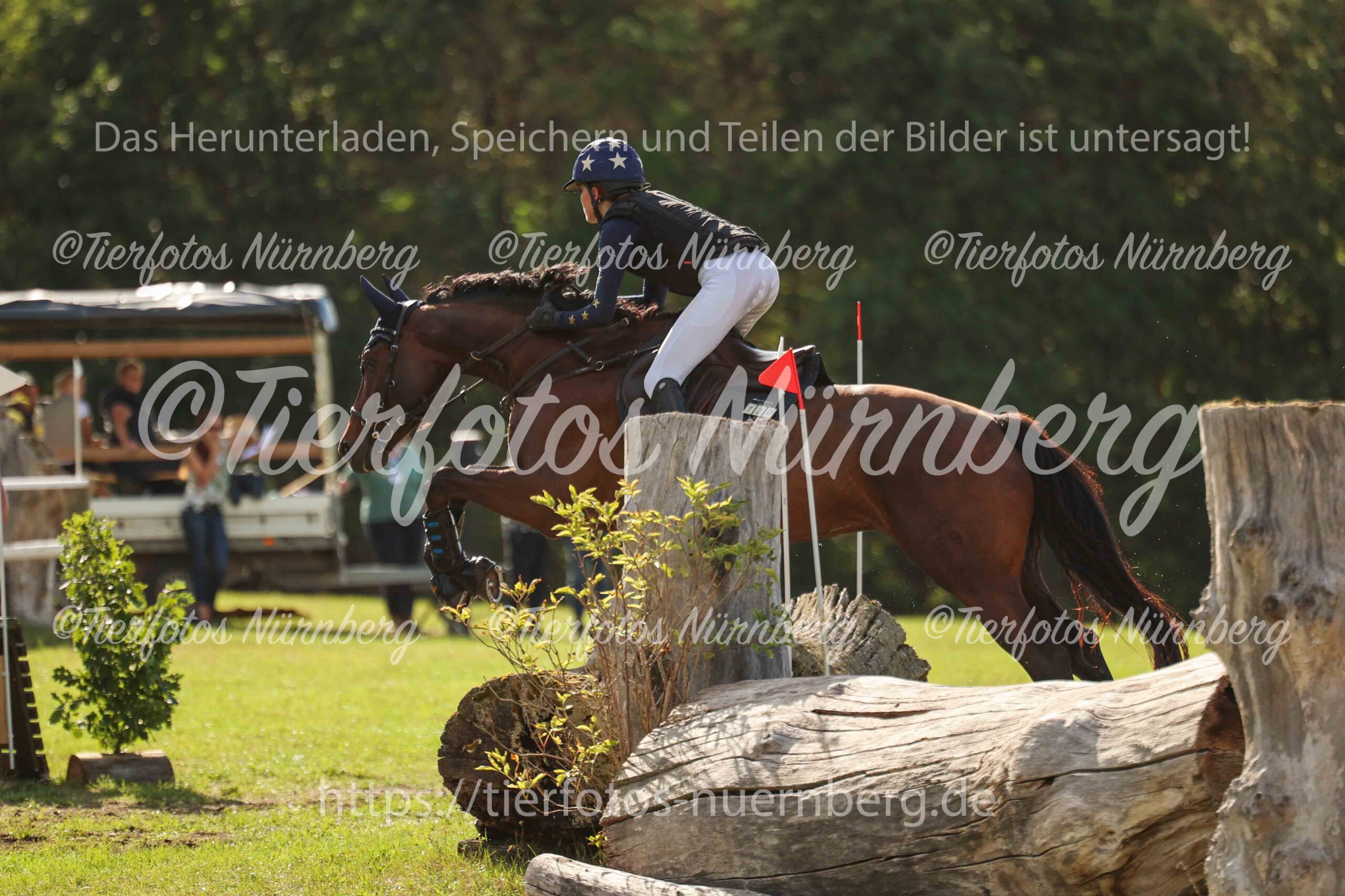 Turnierfoto