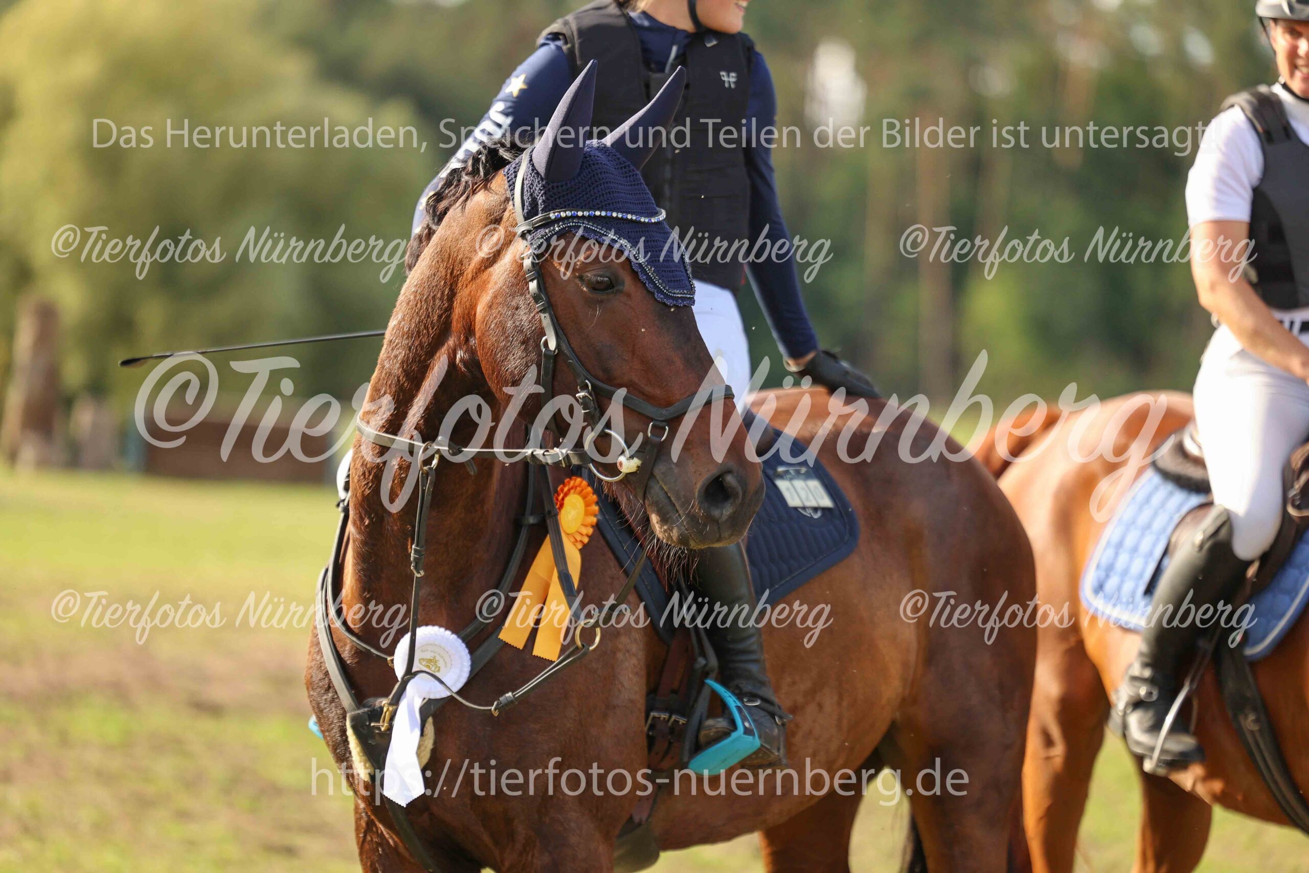 Turnierfoto