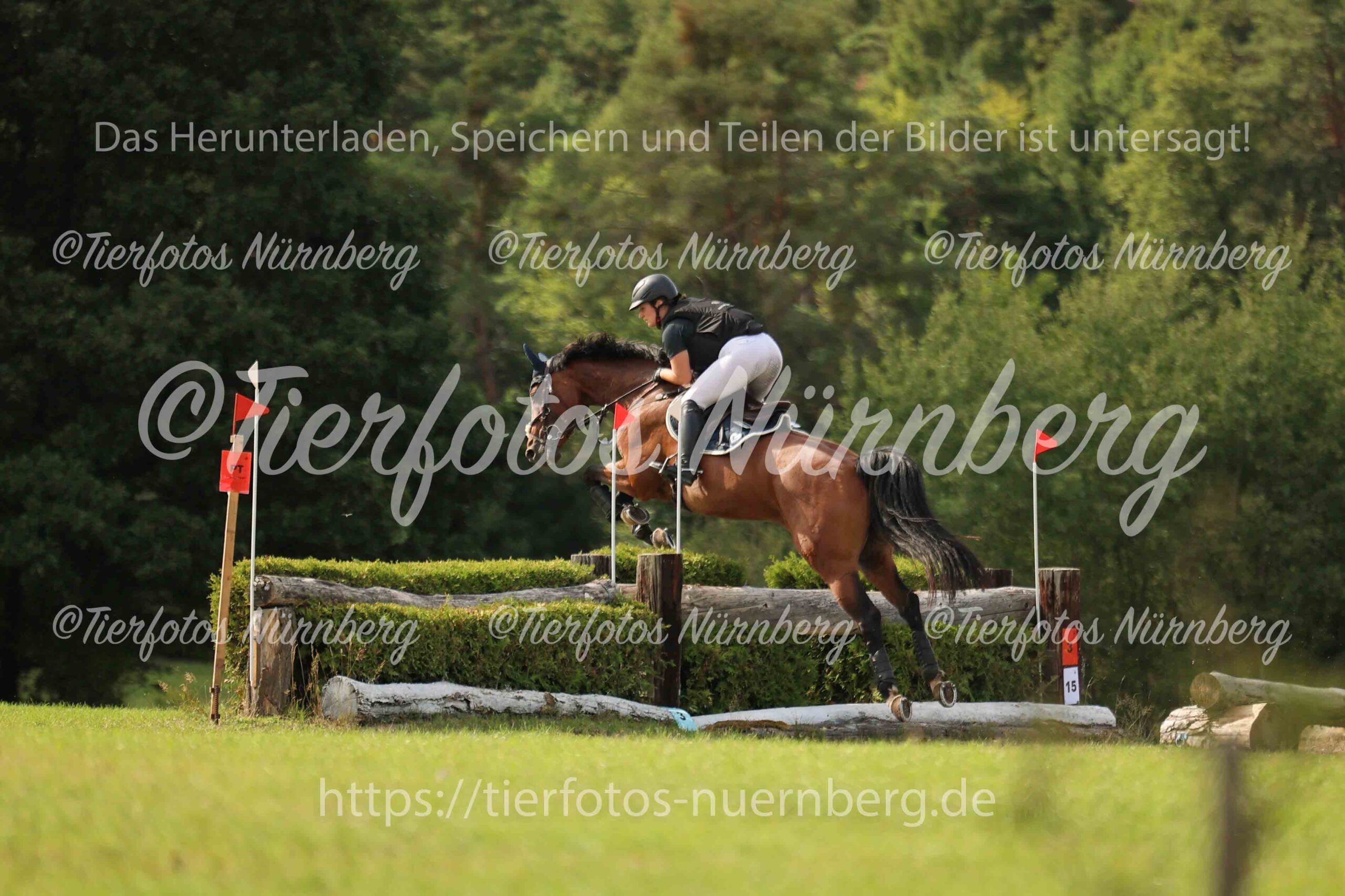 Turnierfoto