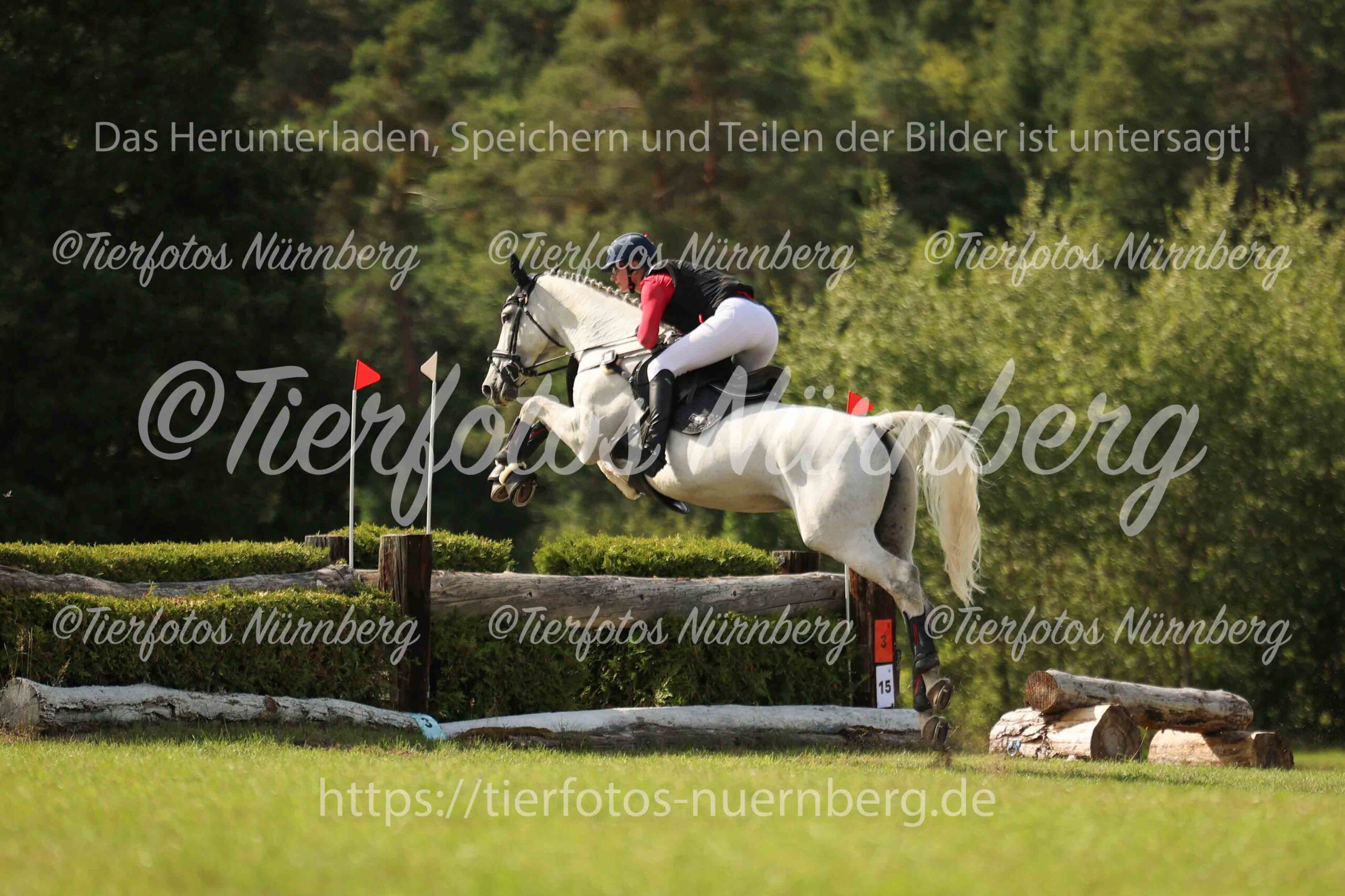 Turnierfoto