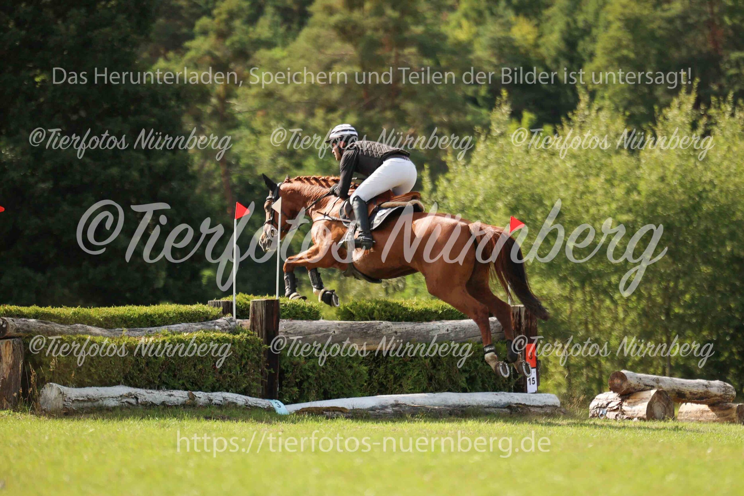 Turnierfoto