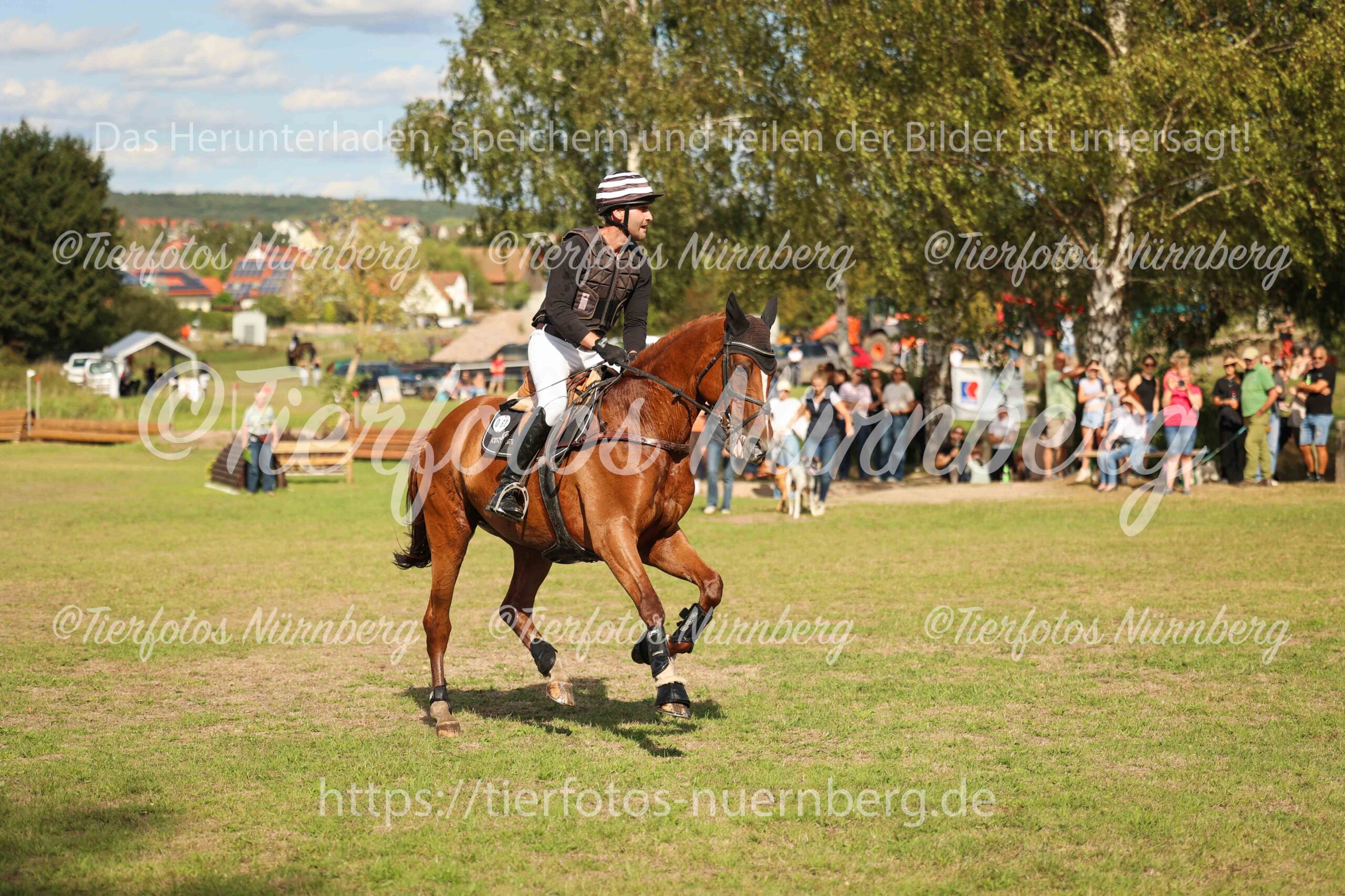 Turnierfoto