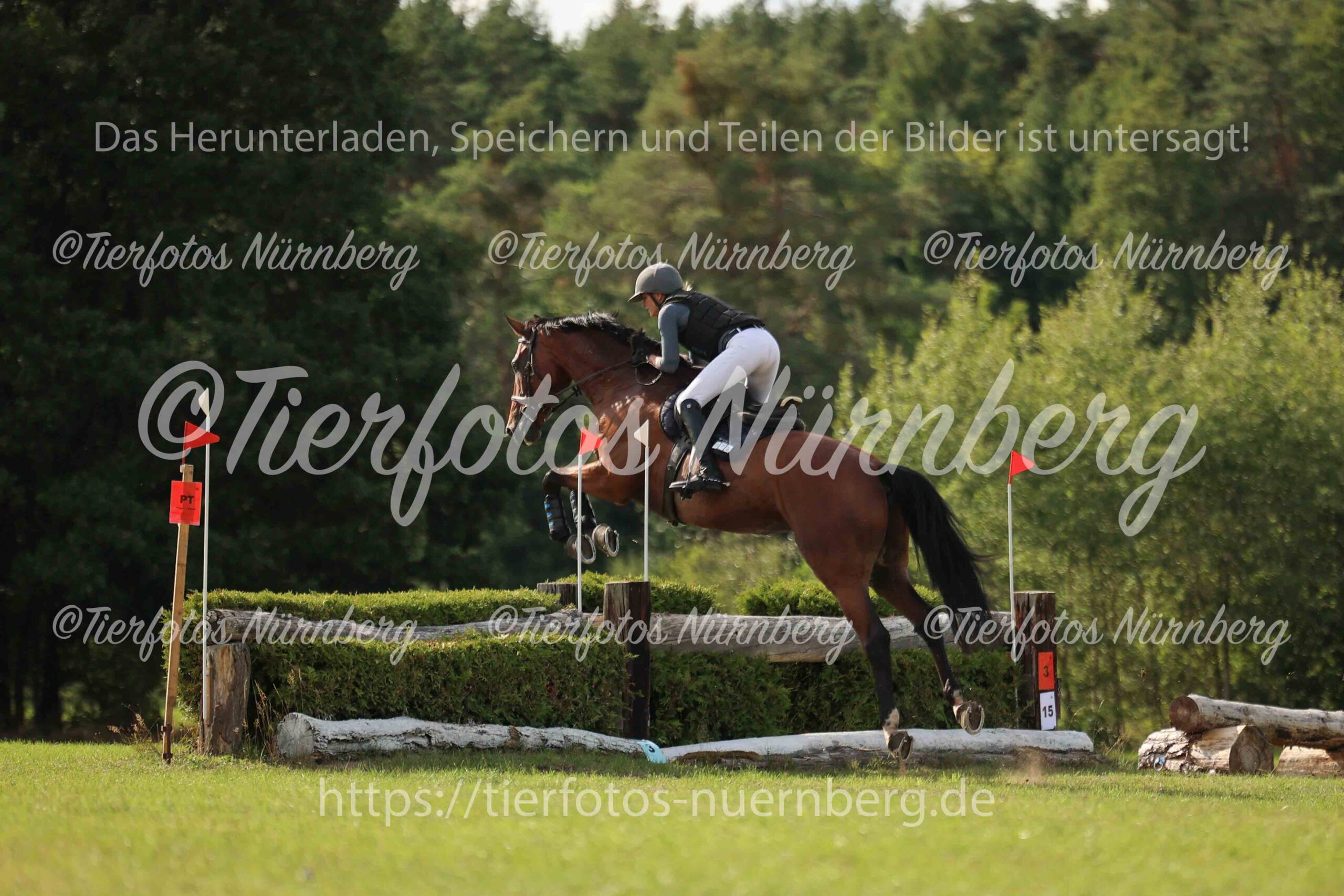 Turnierfoto