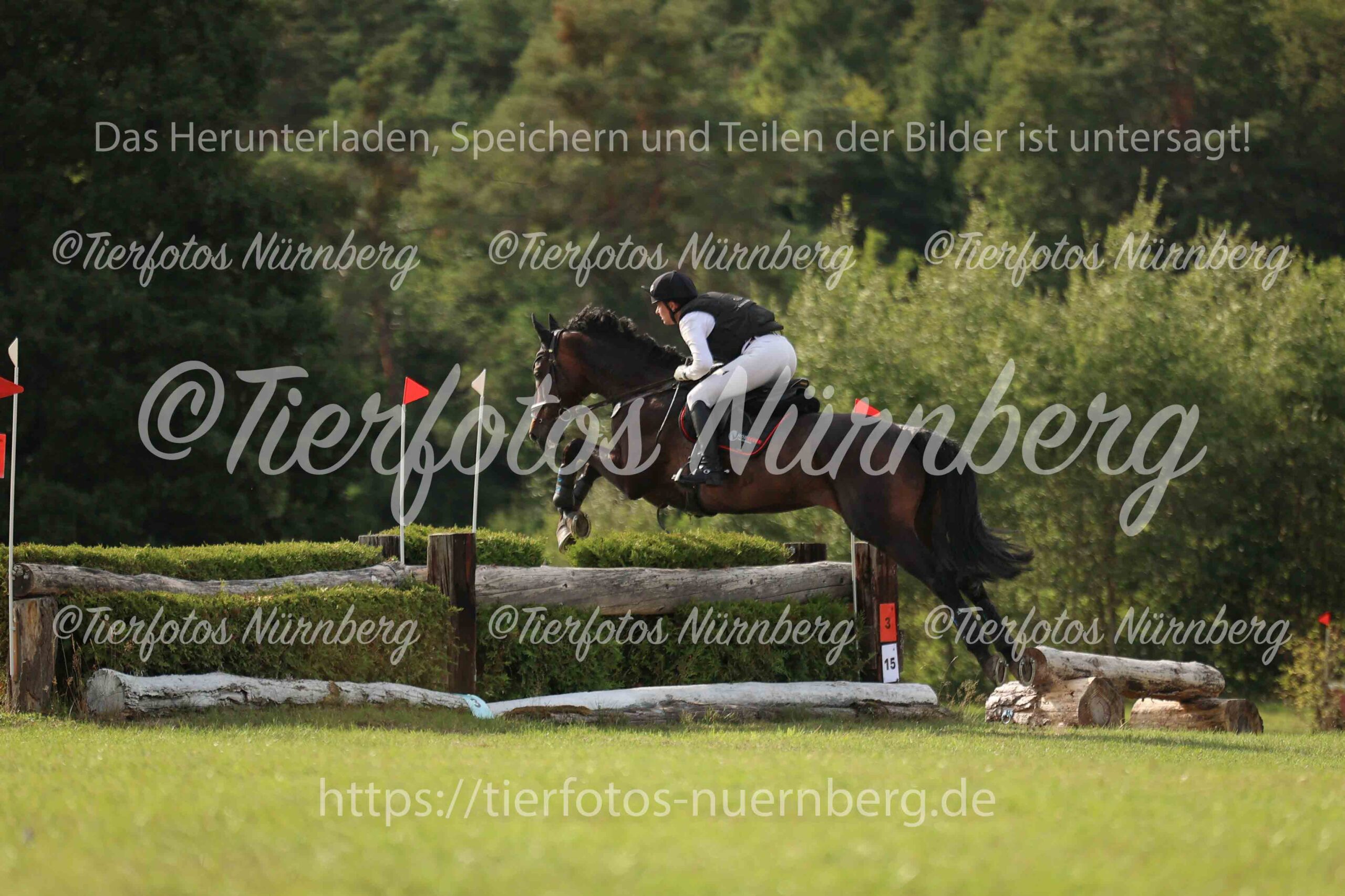 Turnierfoto
