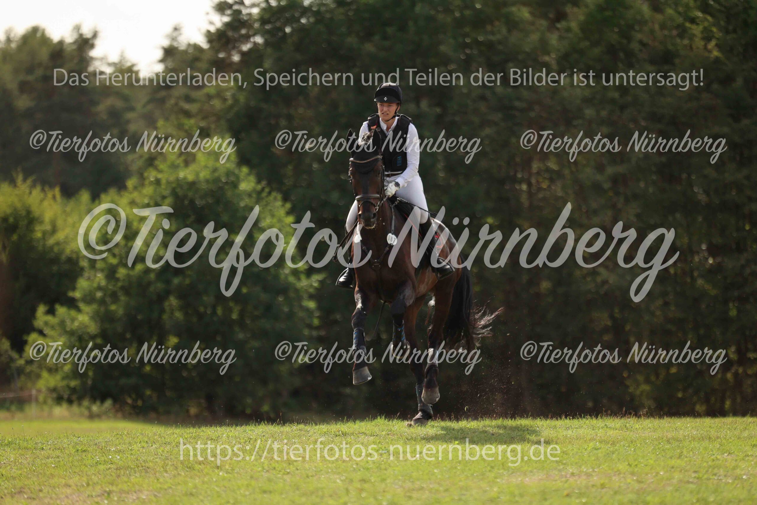 Turnierfoto