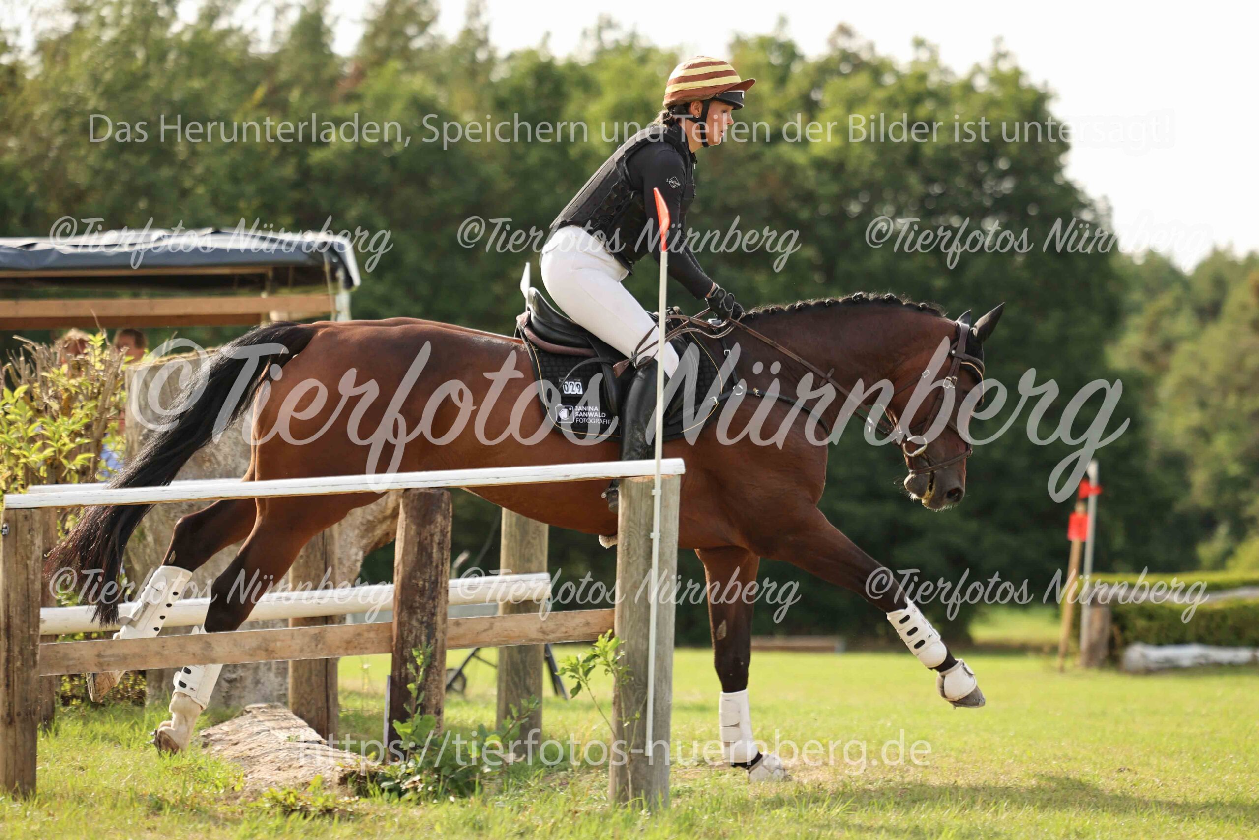Turnierfoto