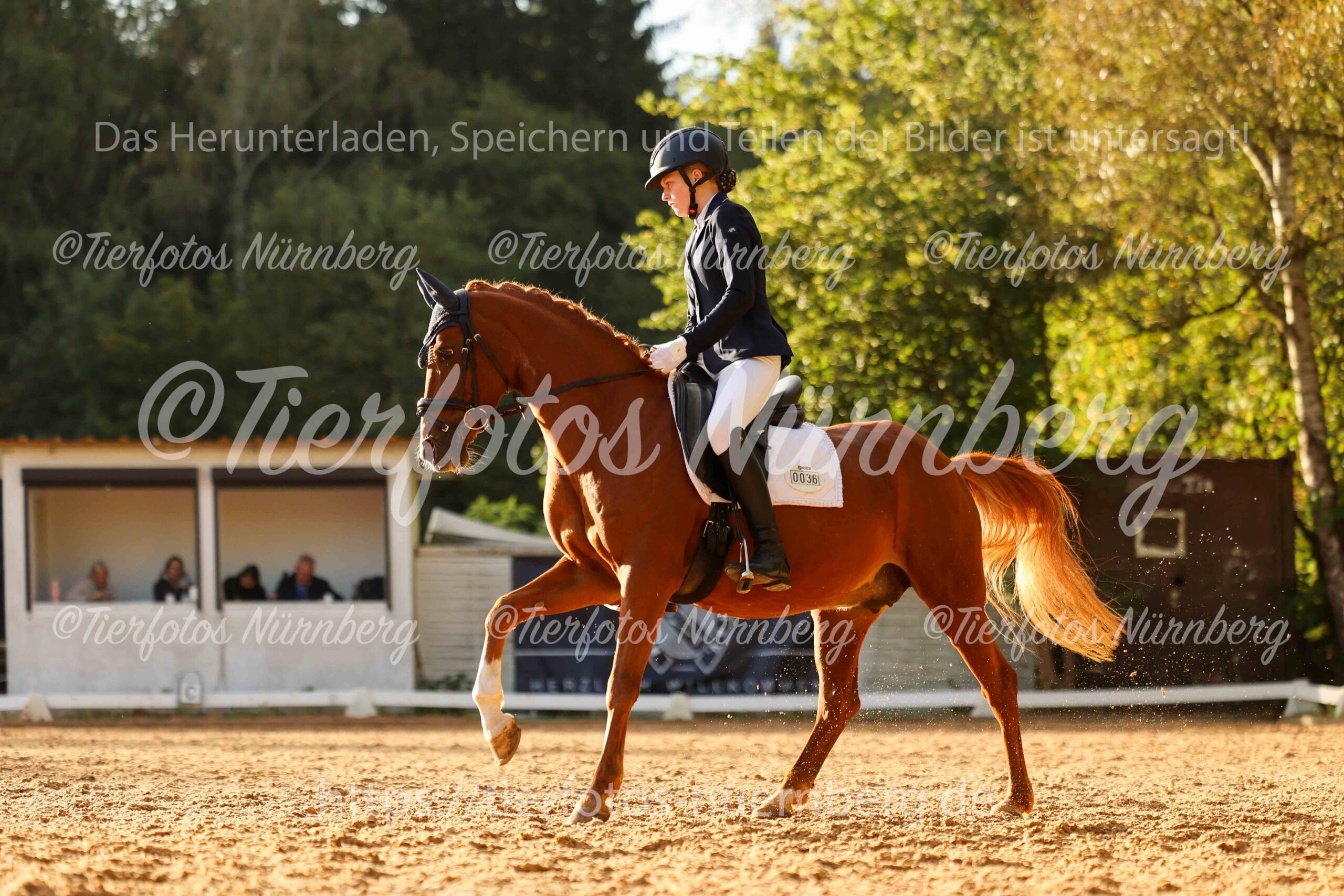 Turnierfoto