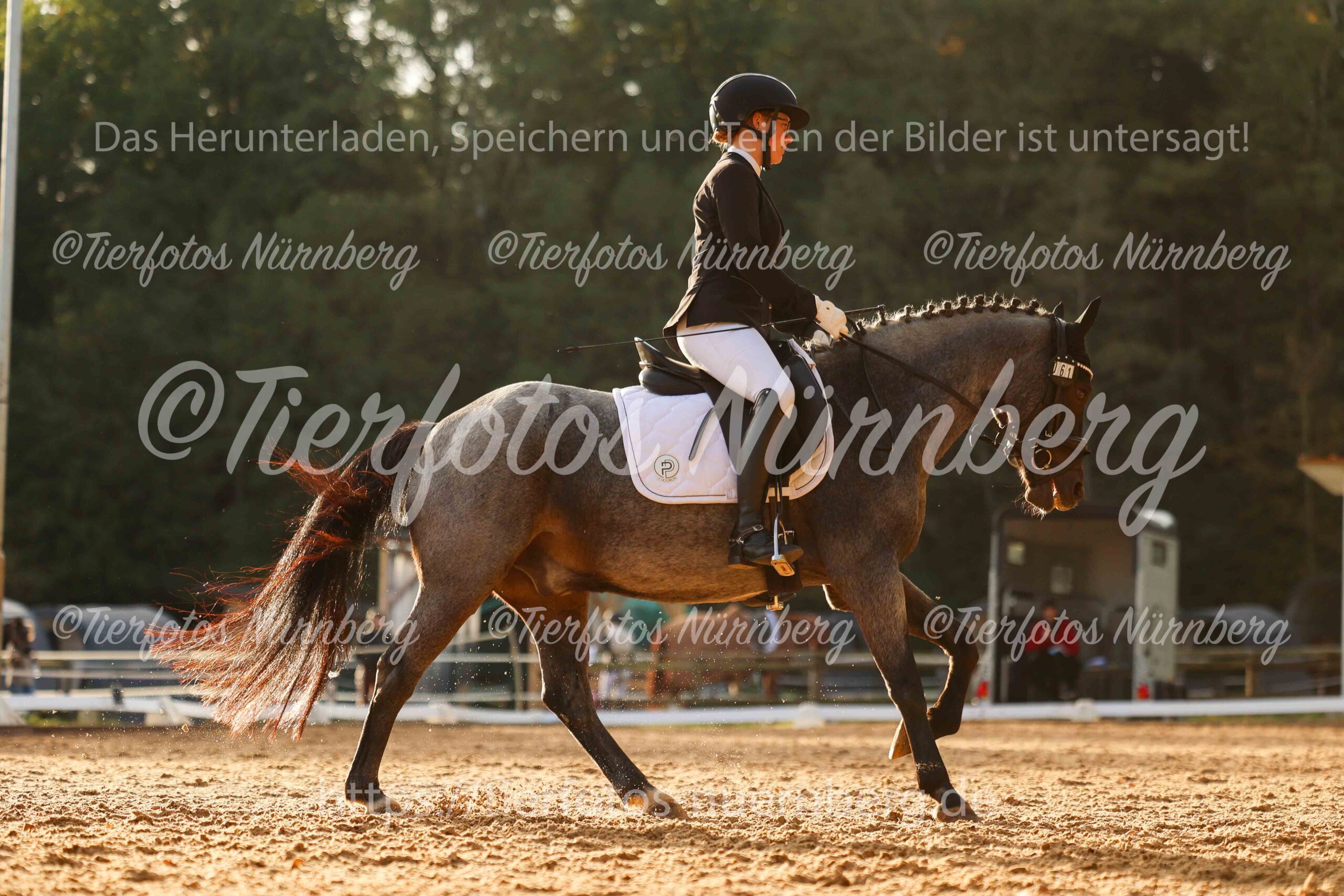 Turnierfoto