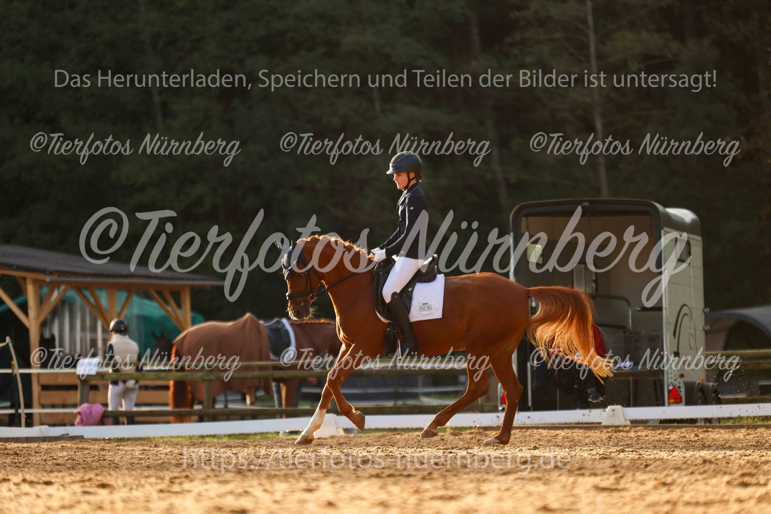 Turnierfoto