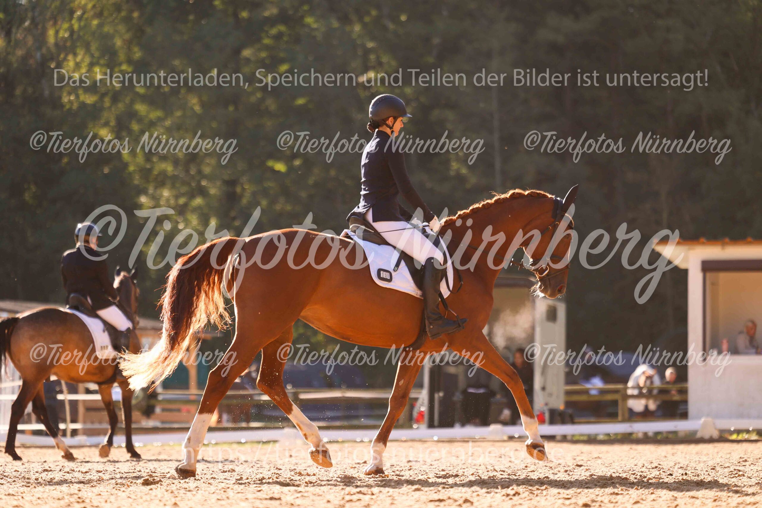 Turnierfoto