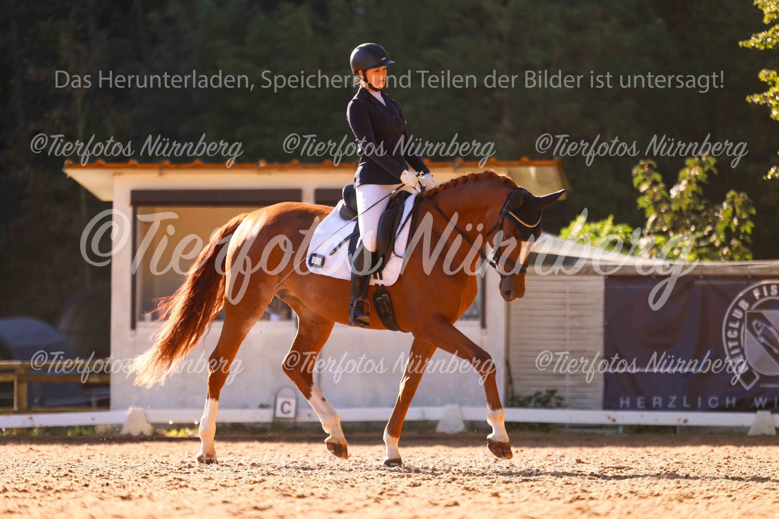 Turnierfoto