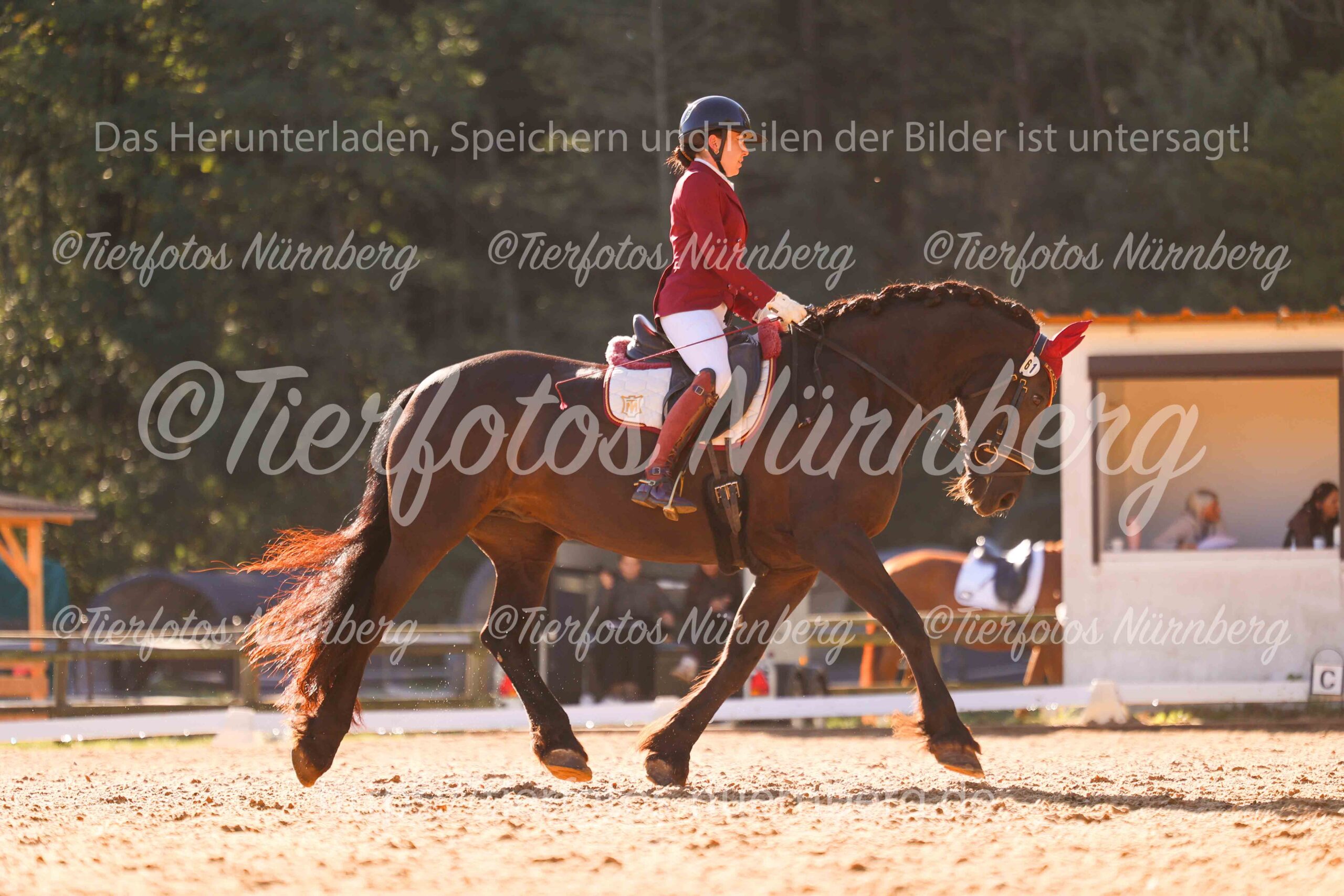 Turnierfoto