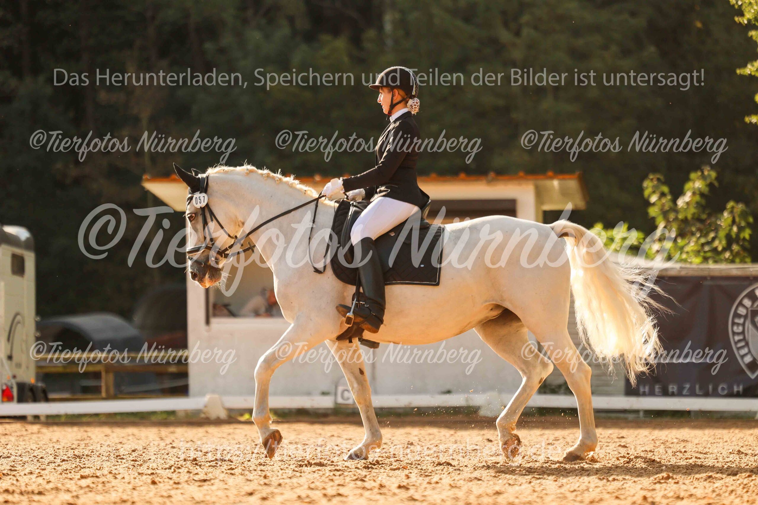 Turnierfoto