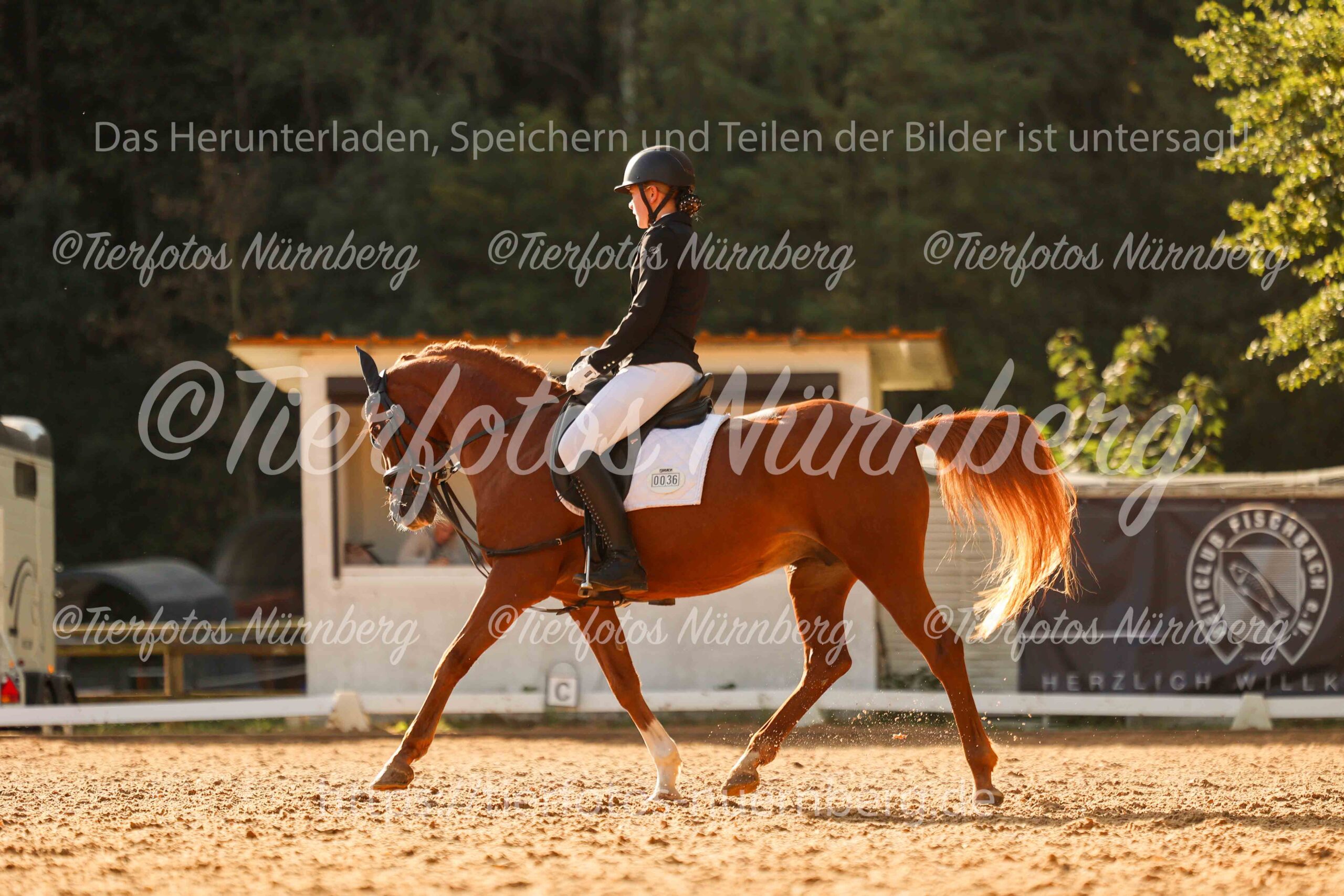 Turnierfoto