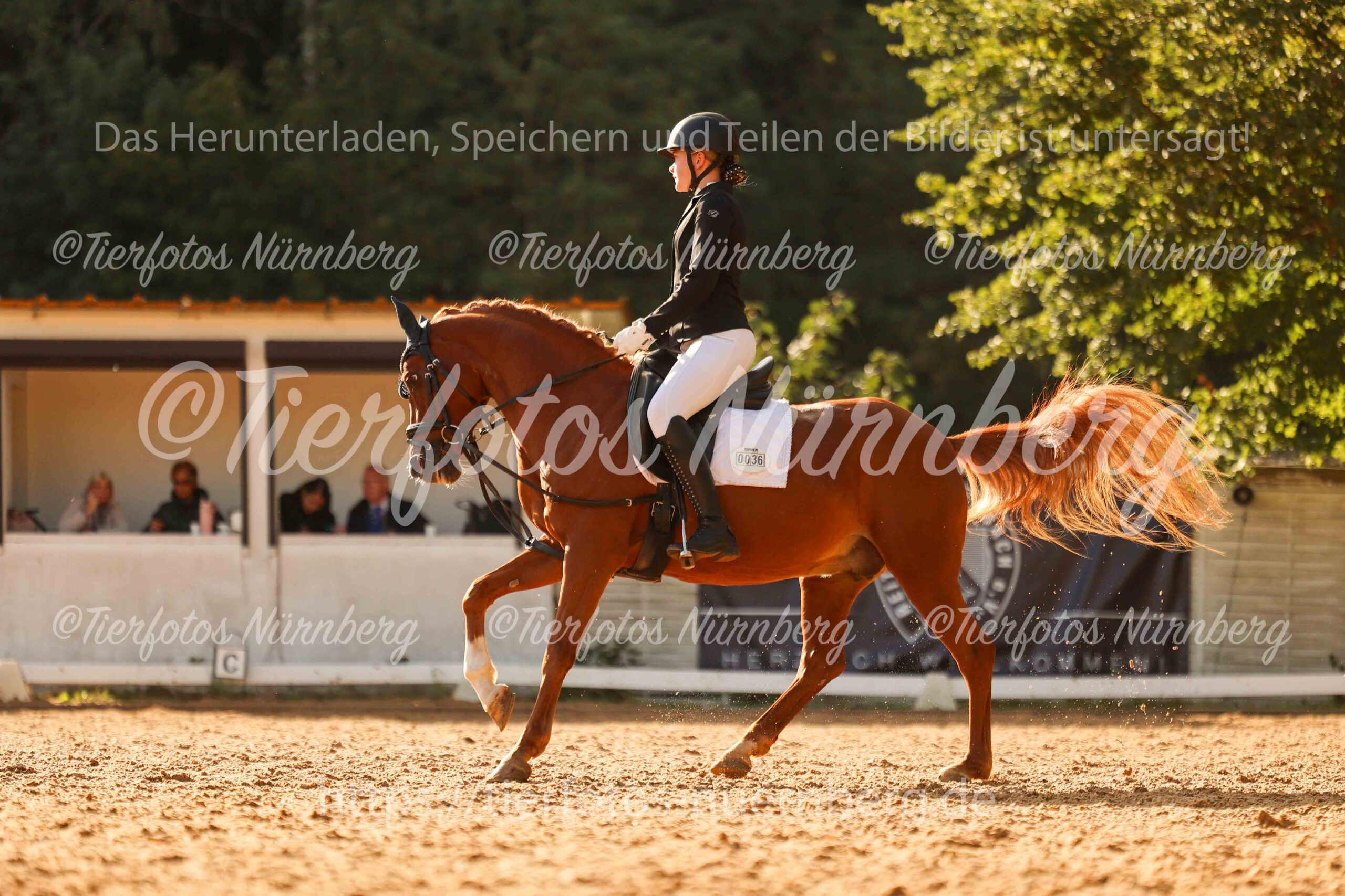 Turnierfoto