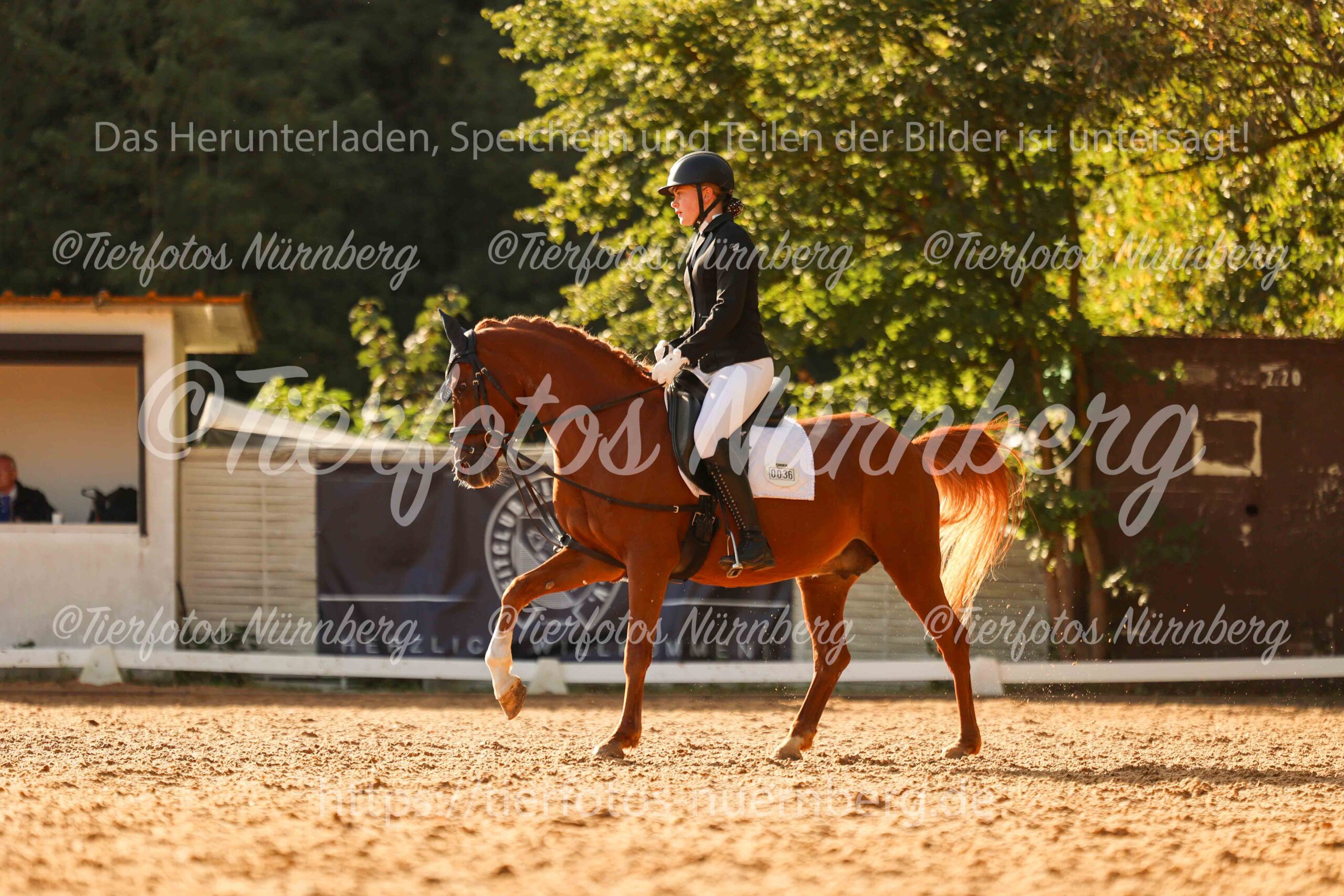 Turnierfoto