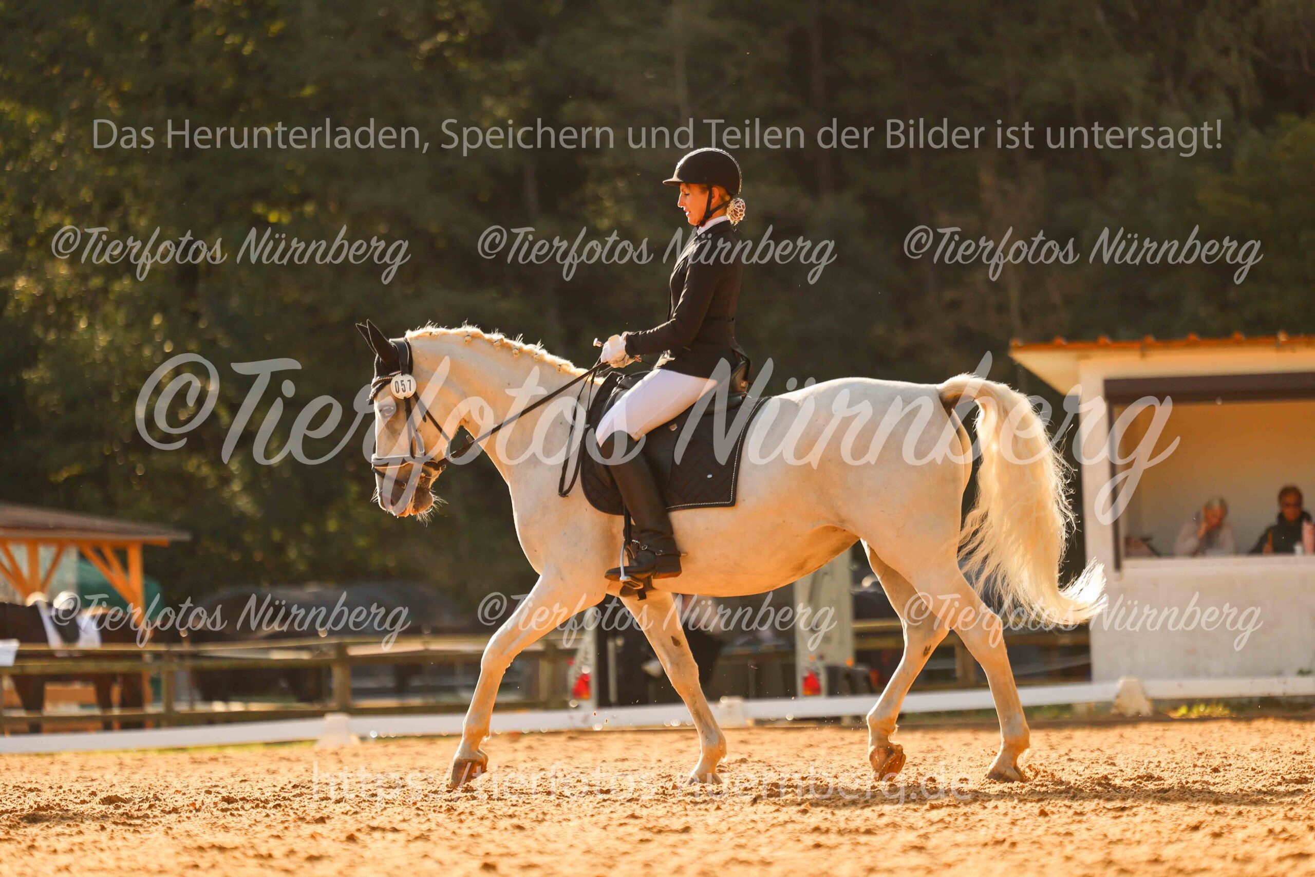 Turnierfoto