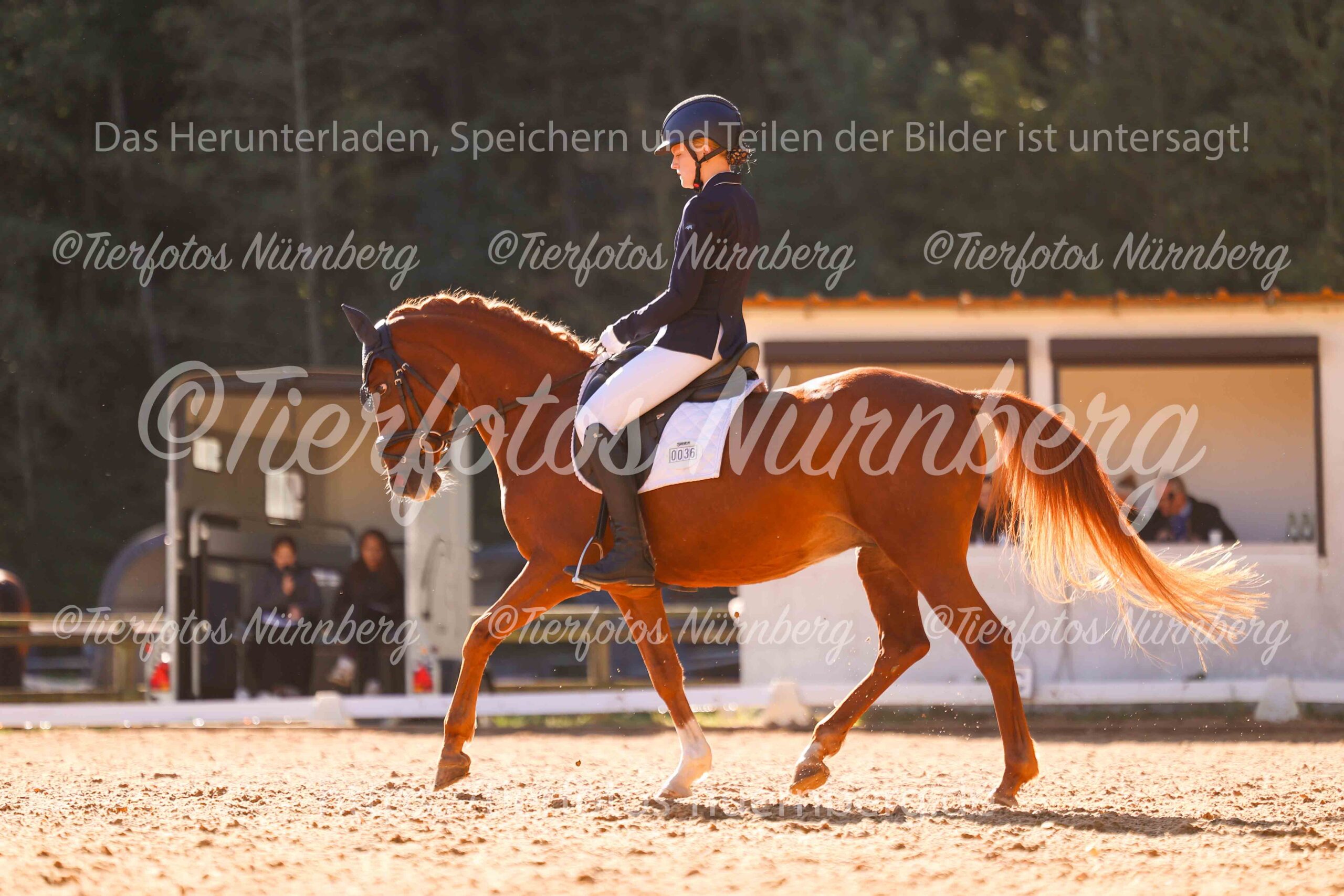Turnierfoto