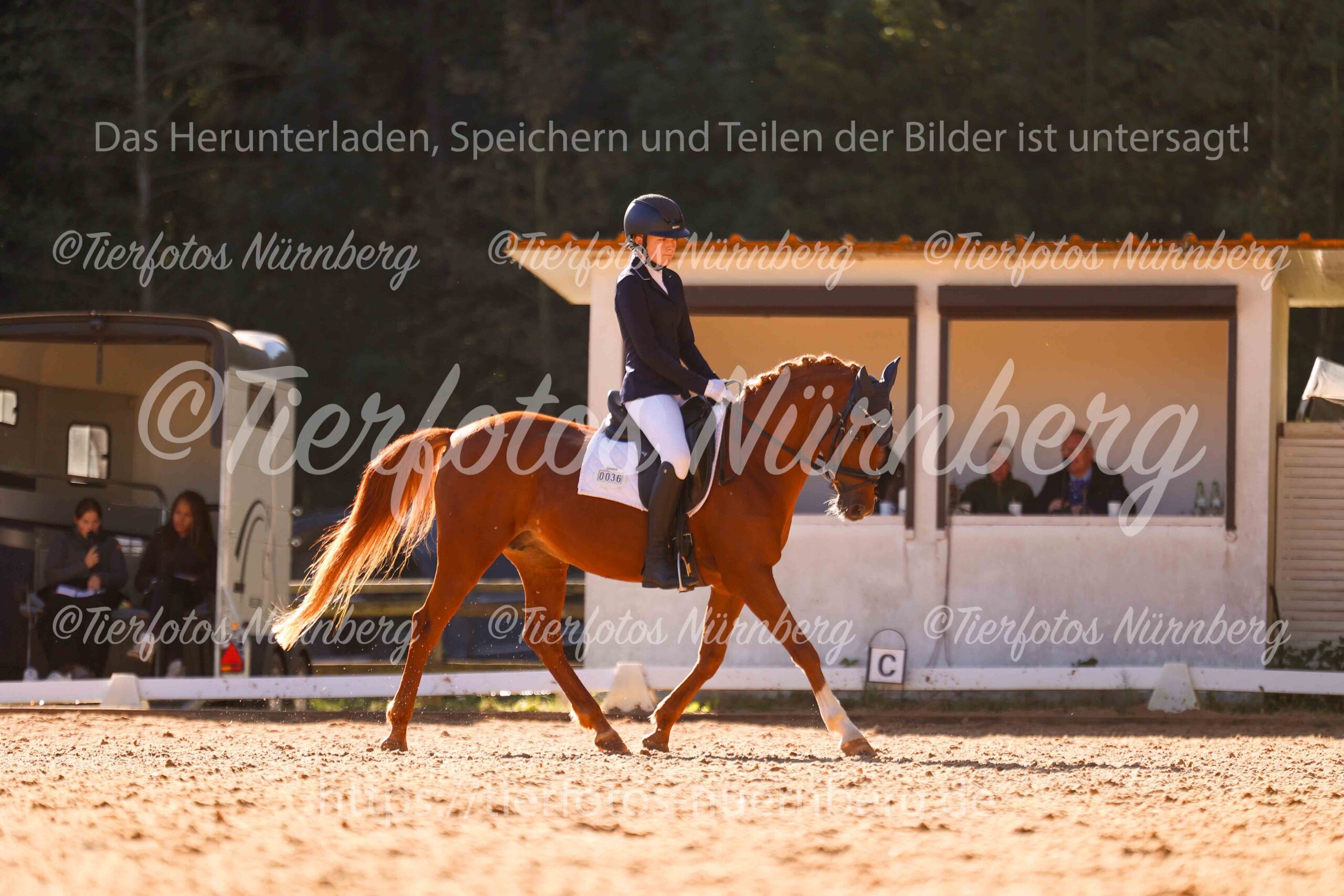 Turnierfoto