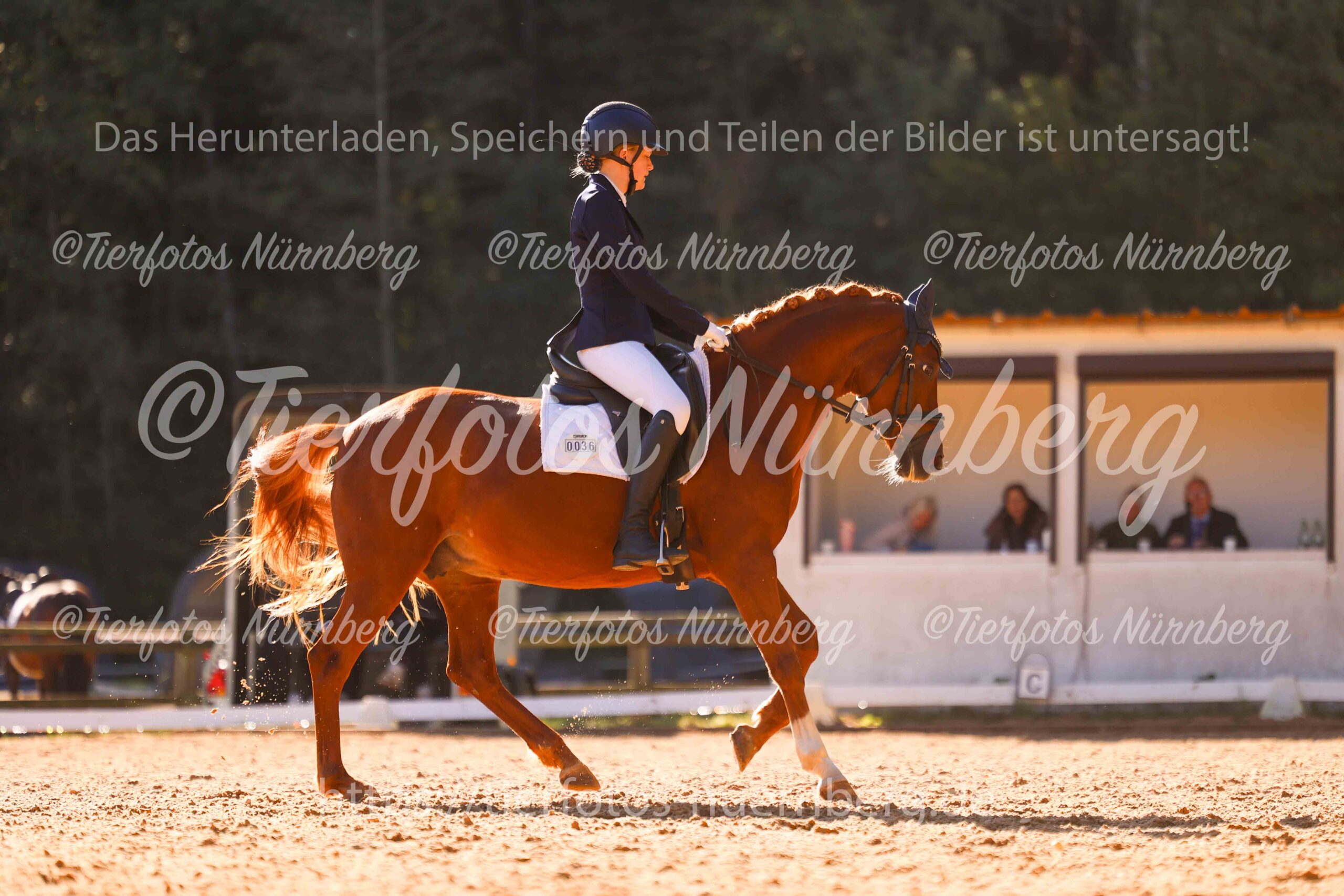 Turnierfoto