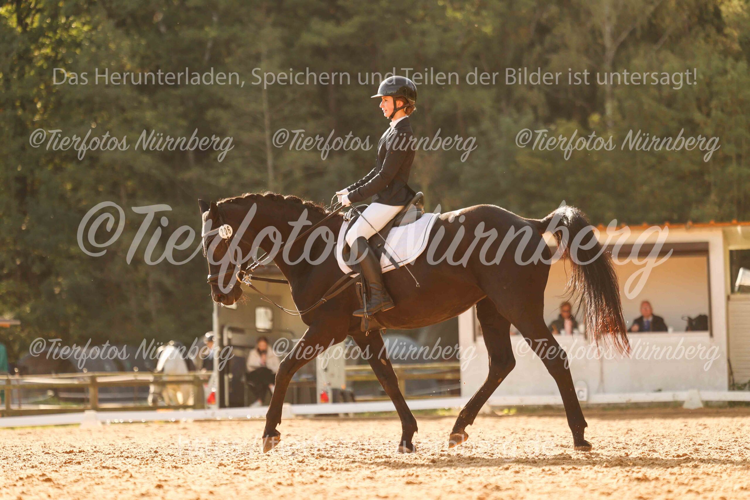 Turnierfoto