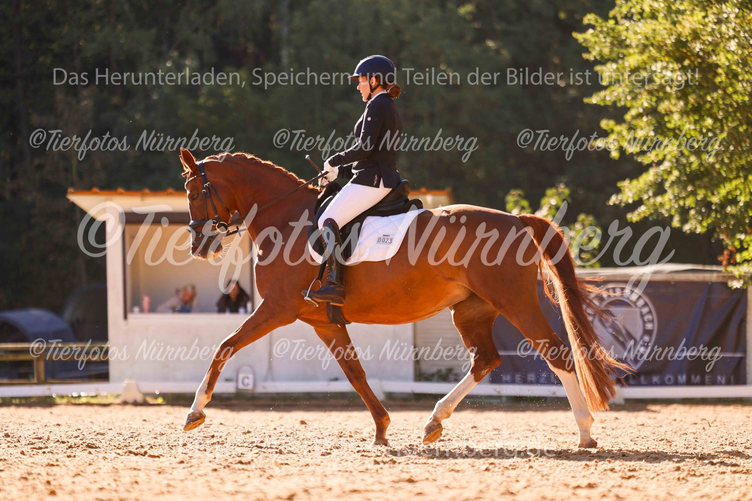 Turnierfoto