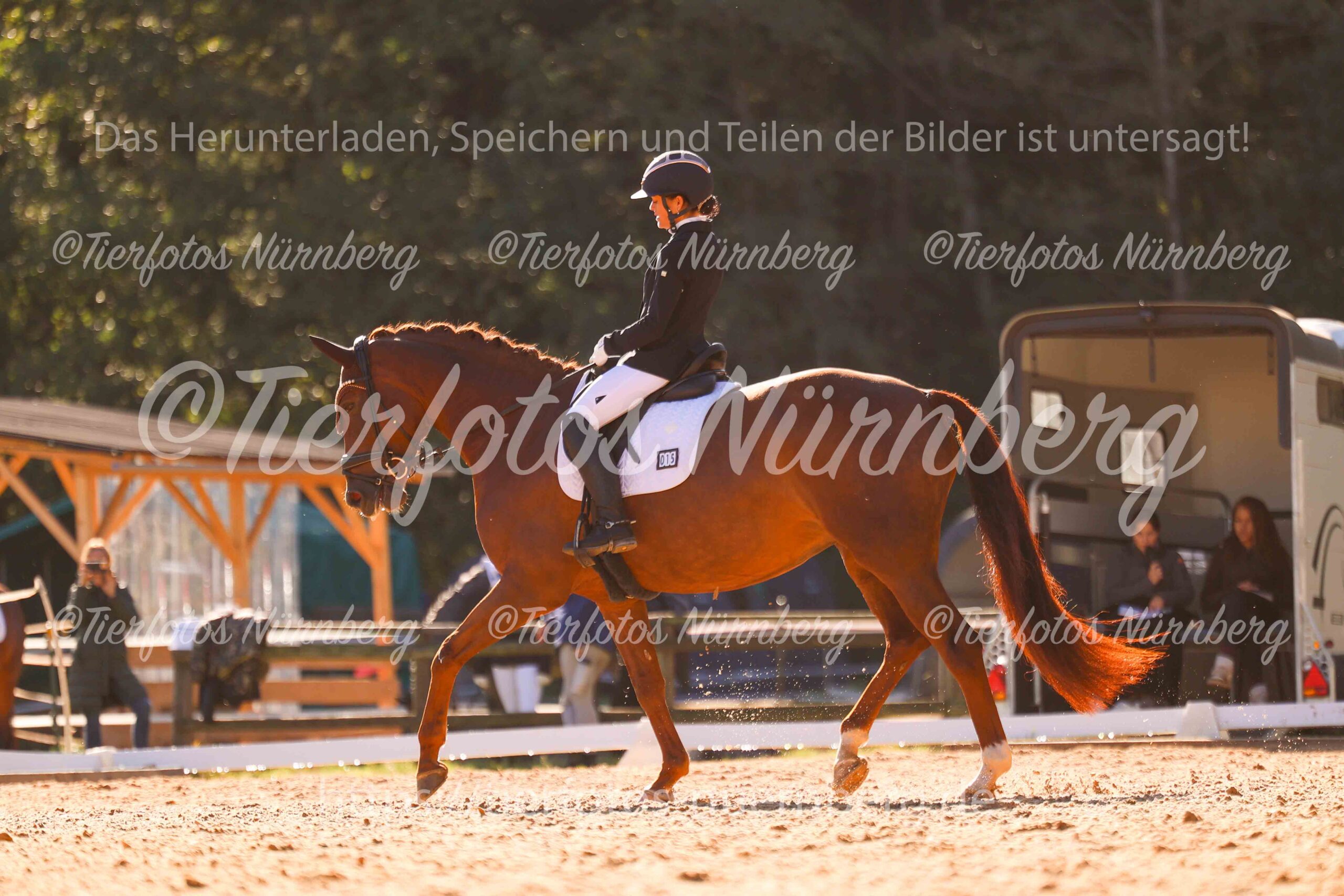 Turnierfoto