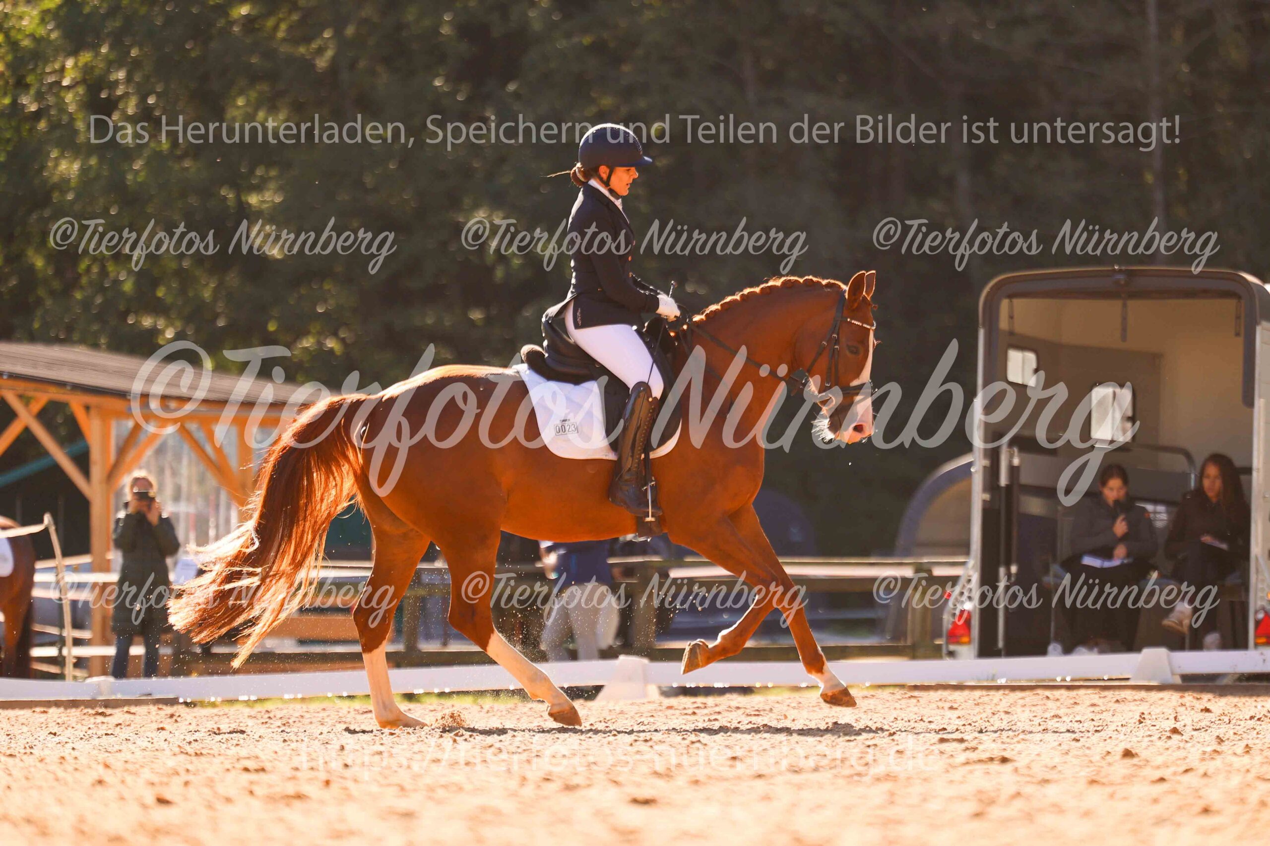 Turnierfoto