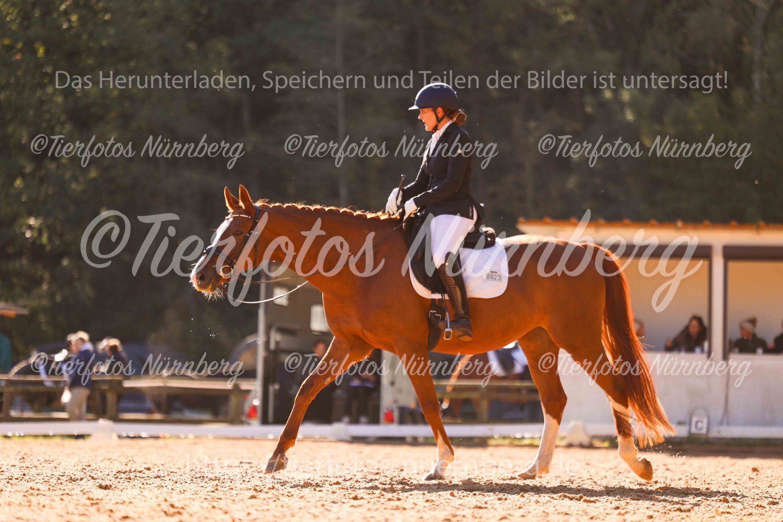 Turnierfoto