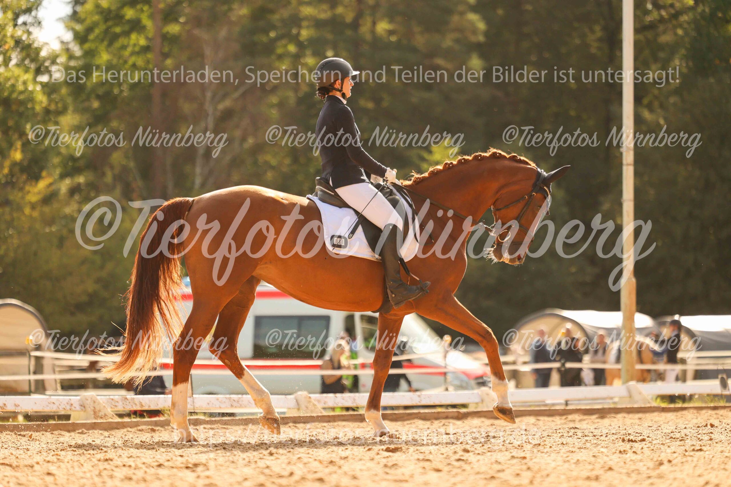 Turnierfoto