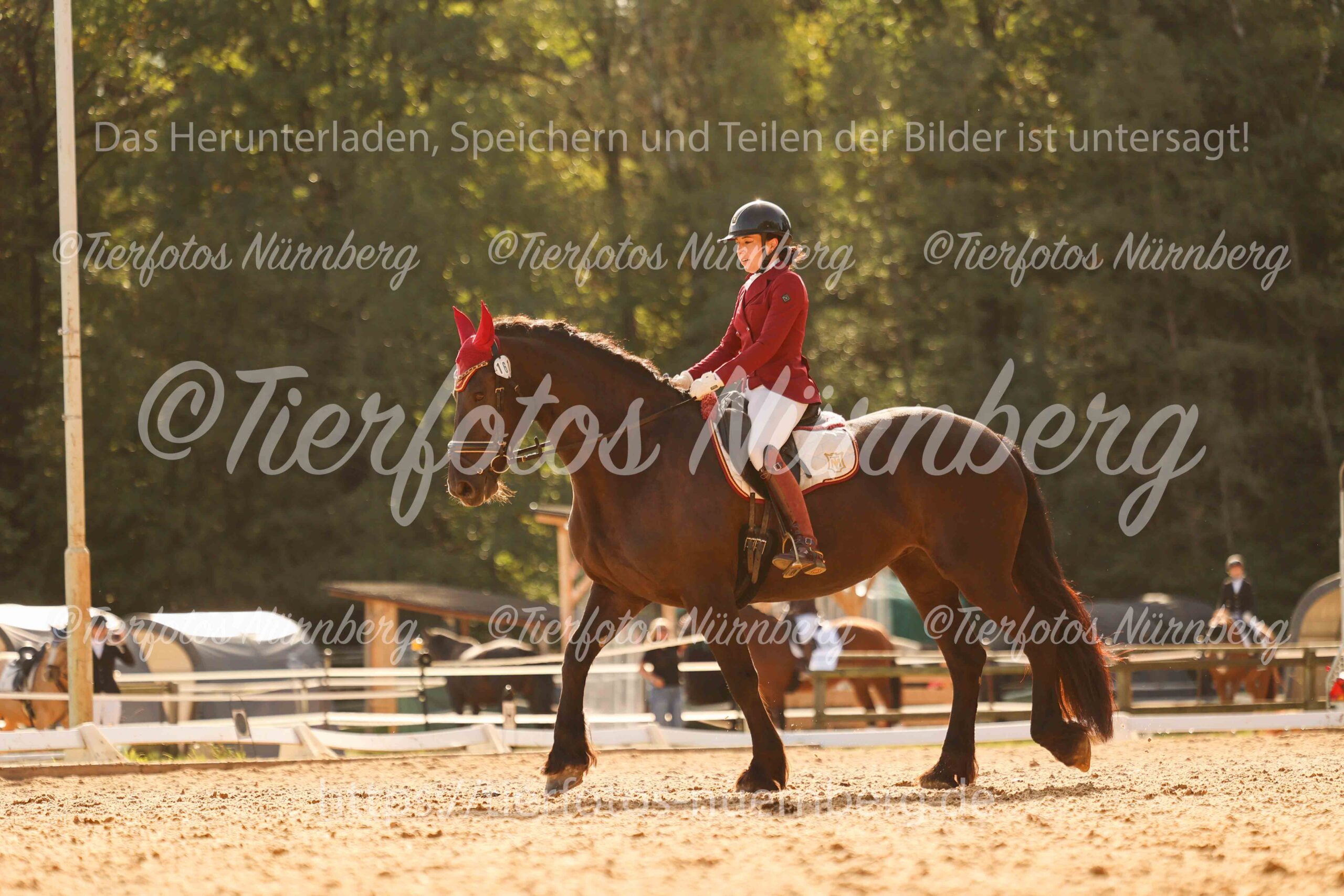 Turnierfoto