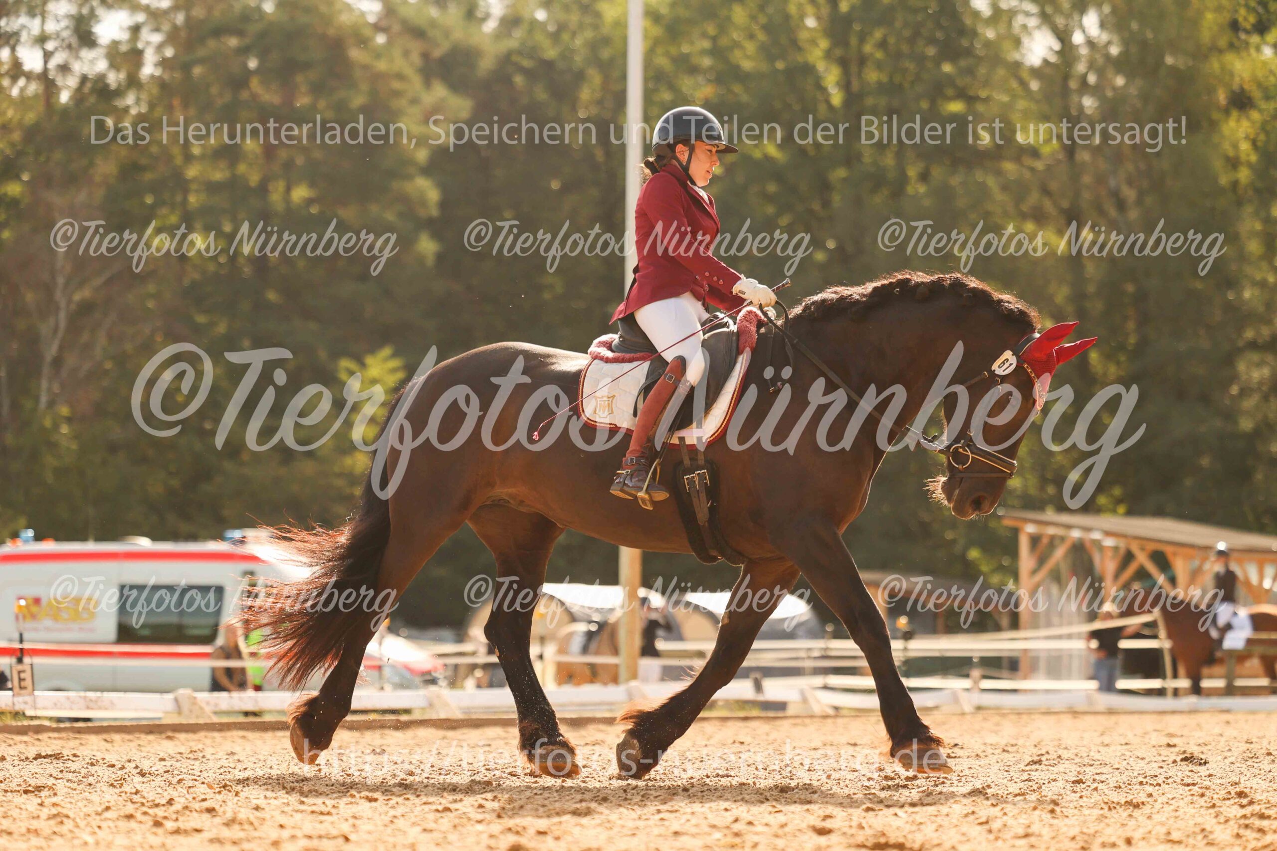 Turnierfoto