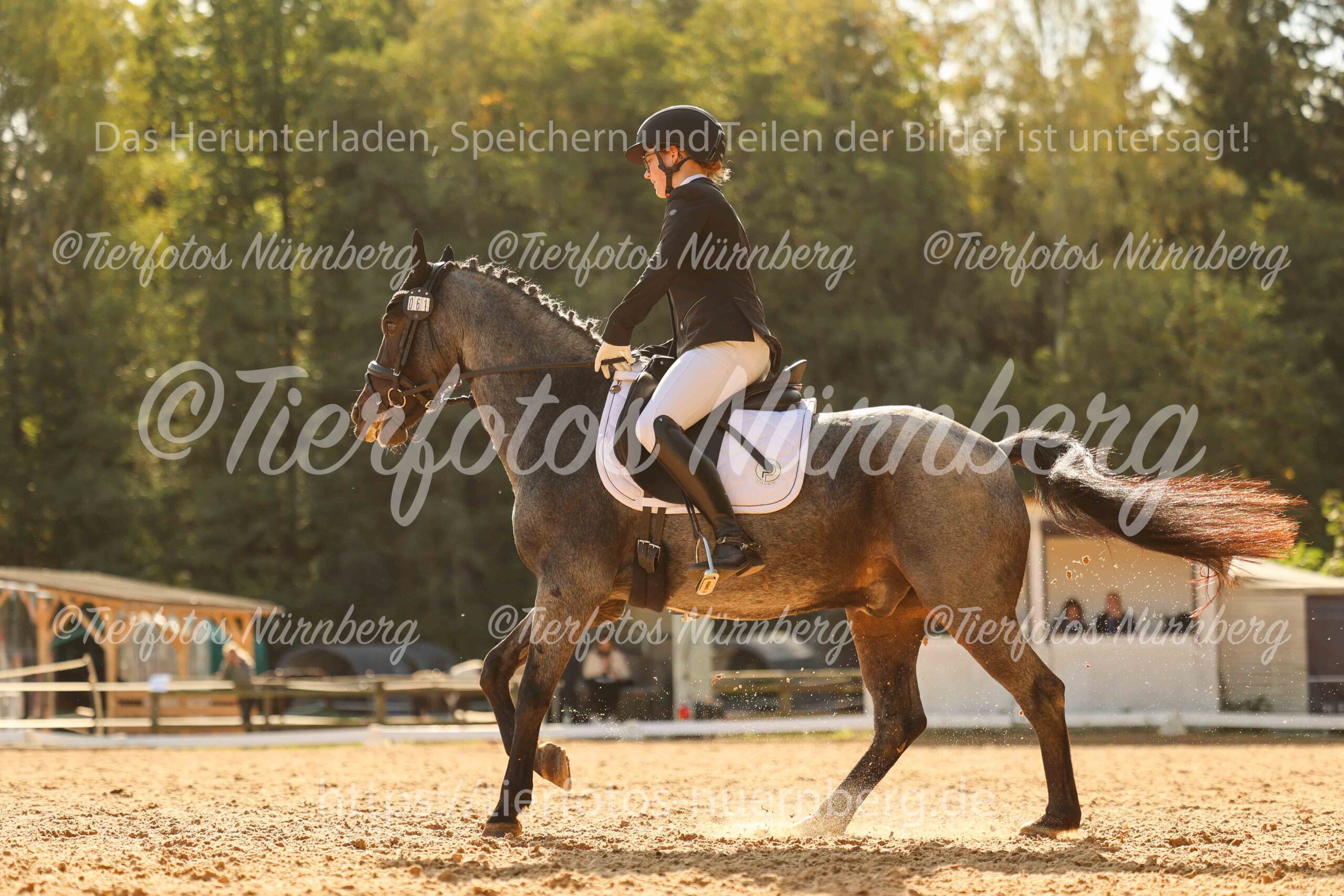 Turnierfoto