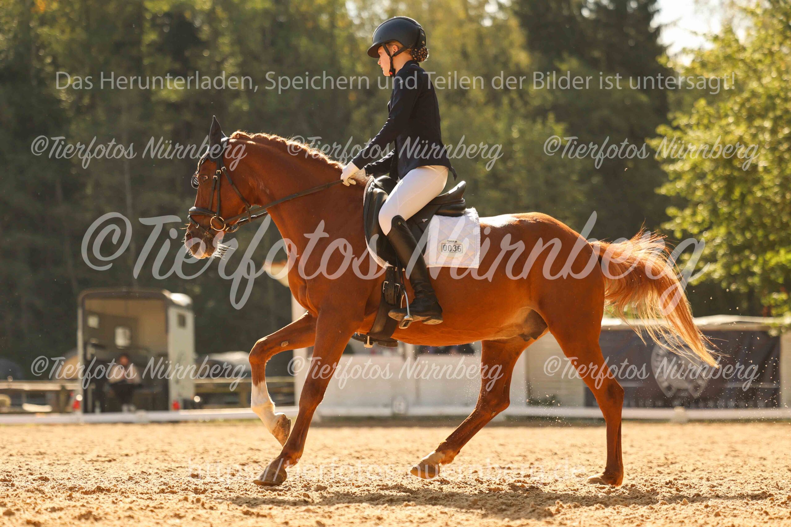 Turnierfoto