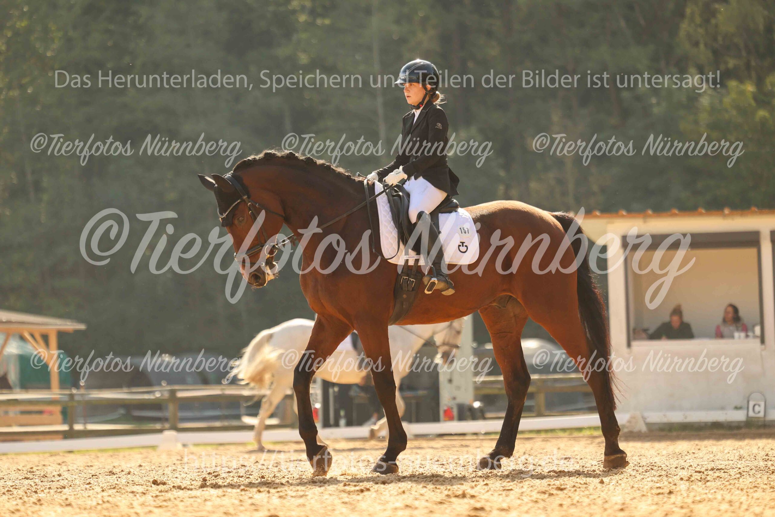 Turnierfoto