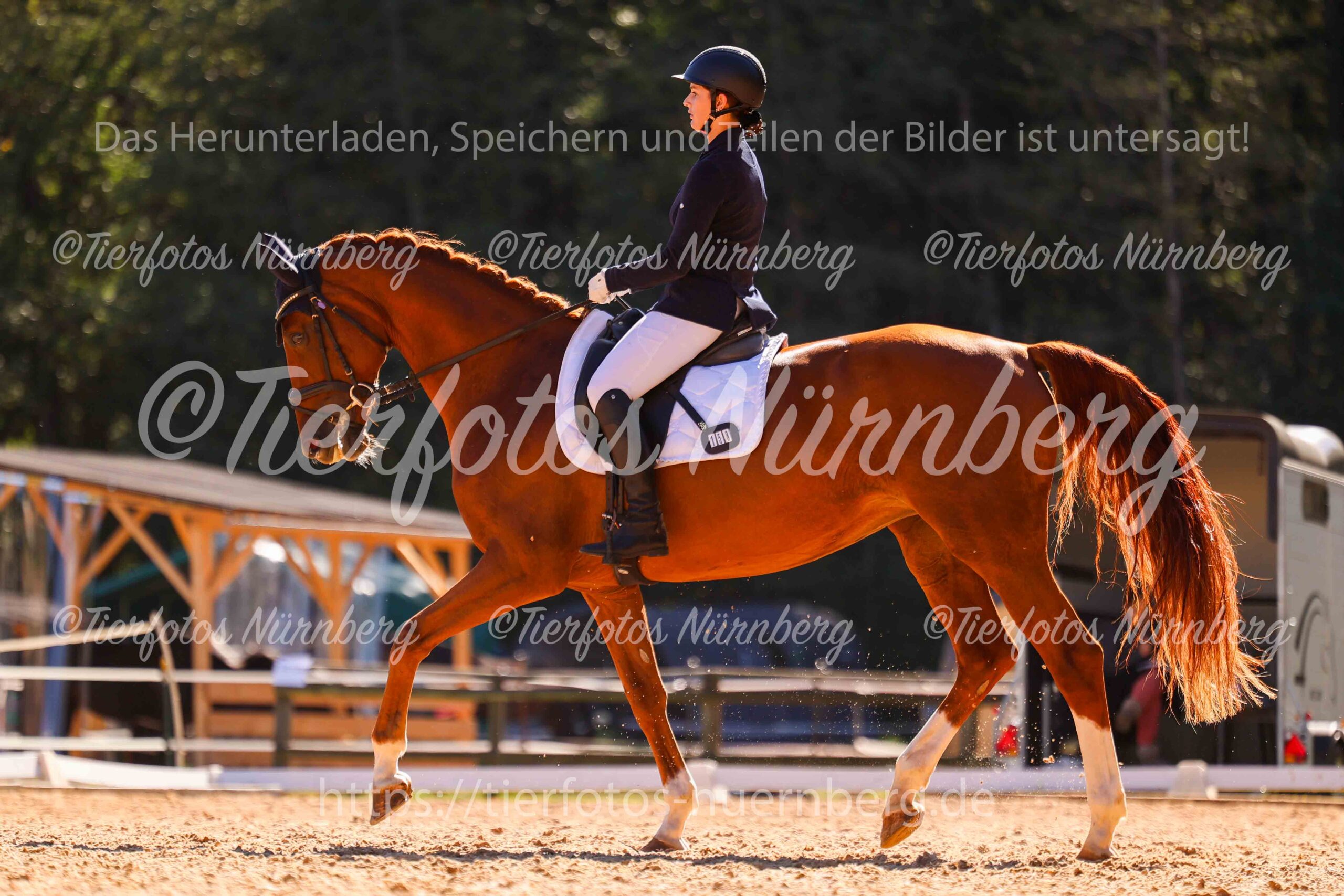 Turnierfoto